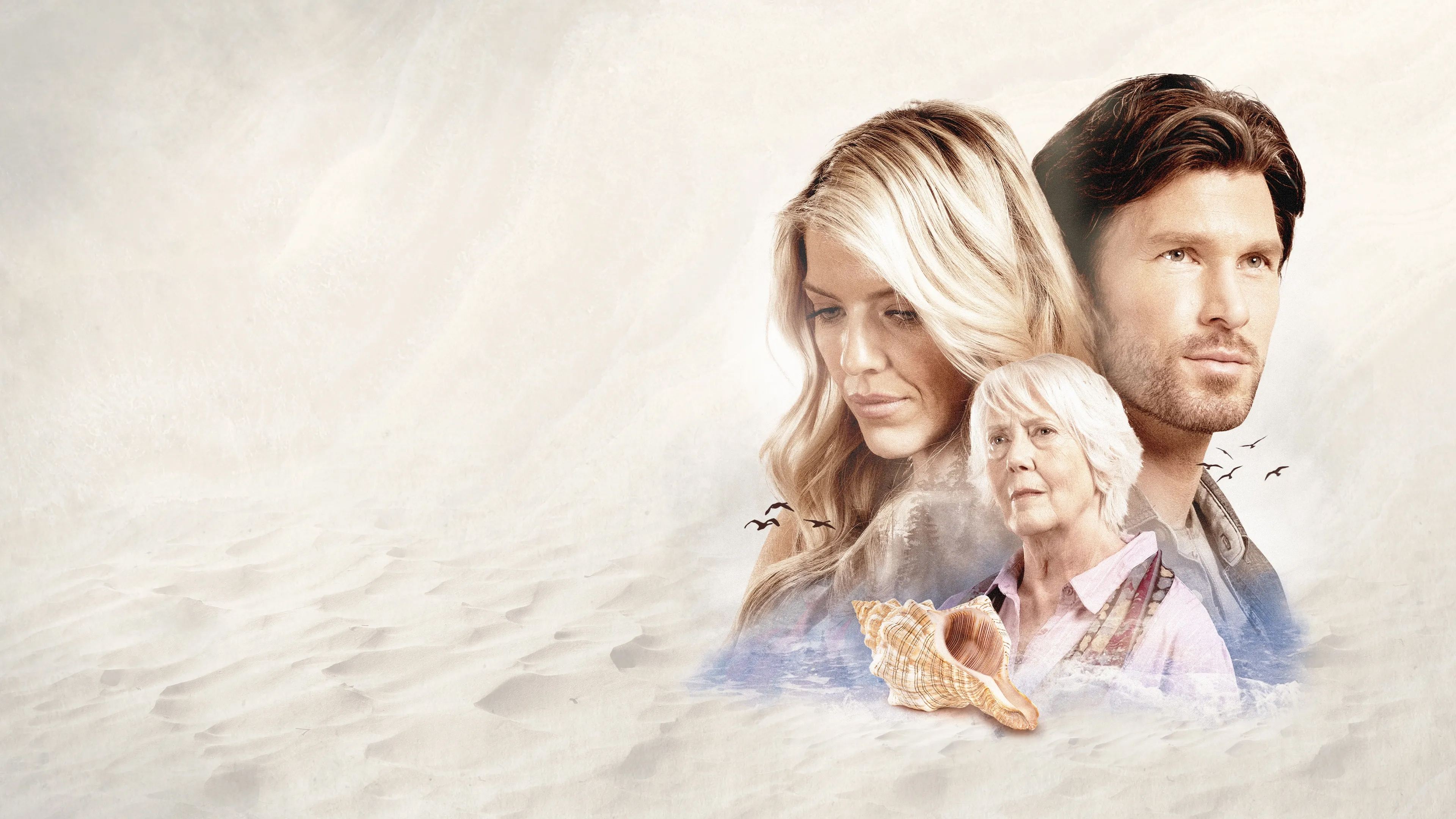 The Shell Collector Background