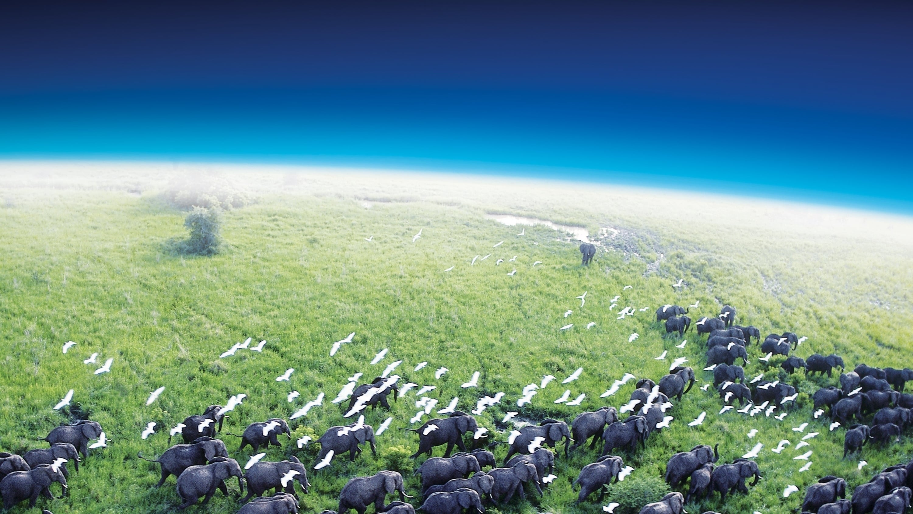 Planet Earth Background