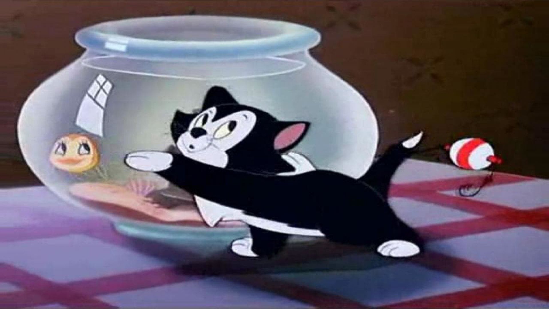 Figaro and Cleo Background