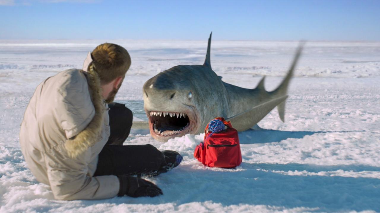Ice Sharks Background