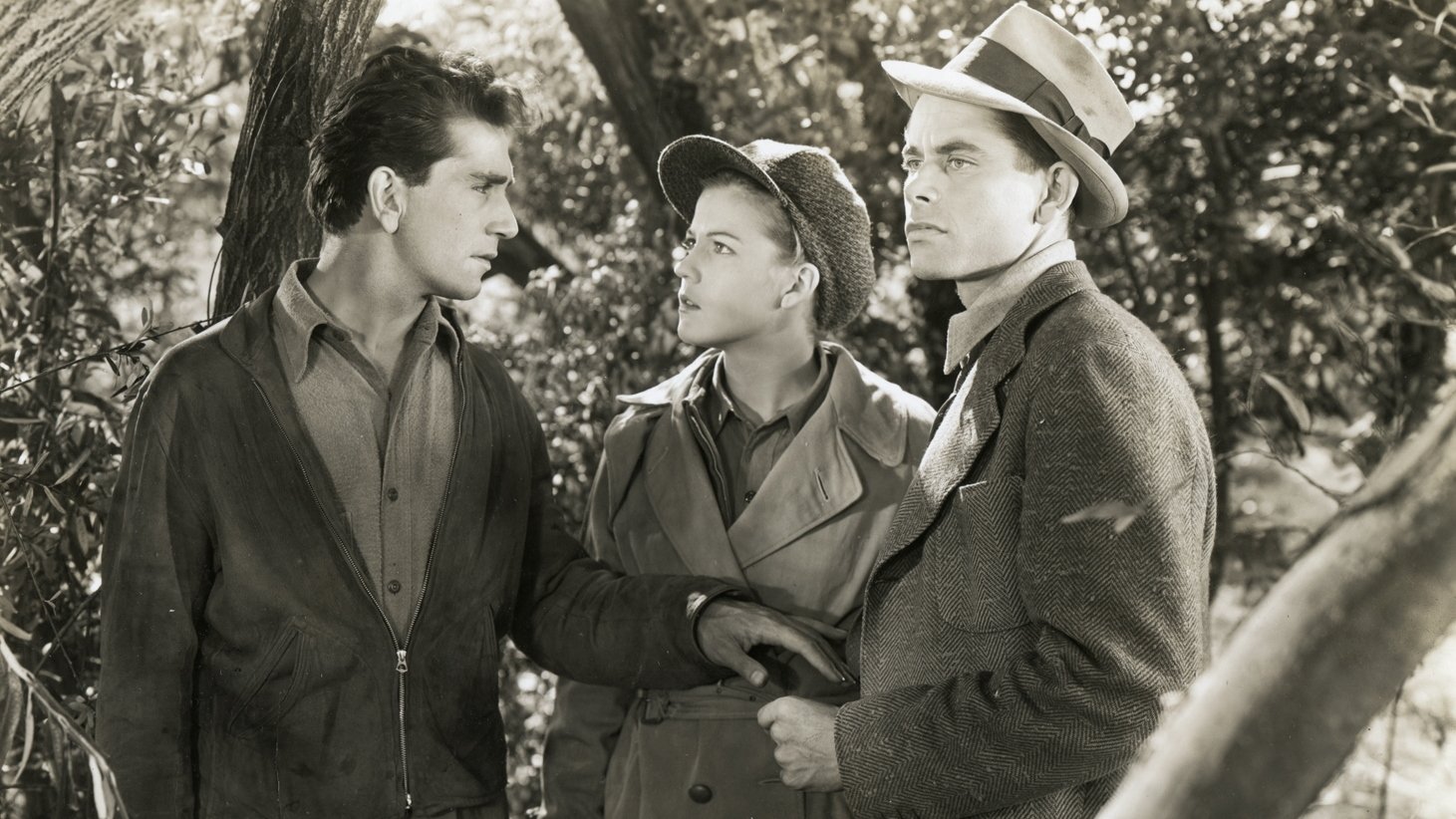 Heaven with a Barbed Wire Fence Background