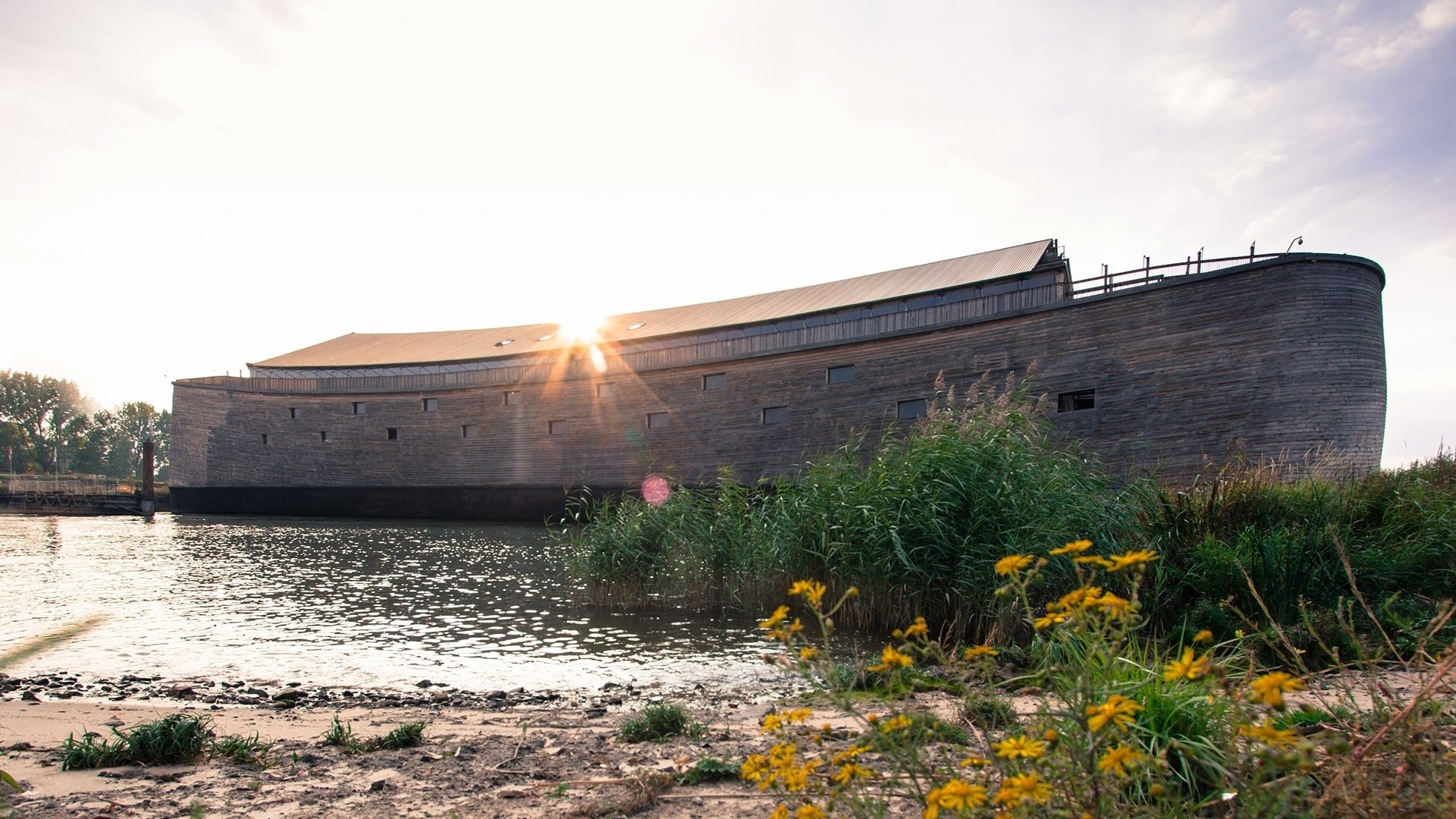 The Reality of Noah's Ark Background