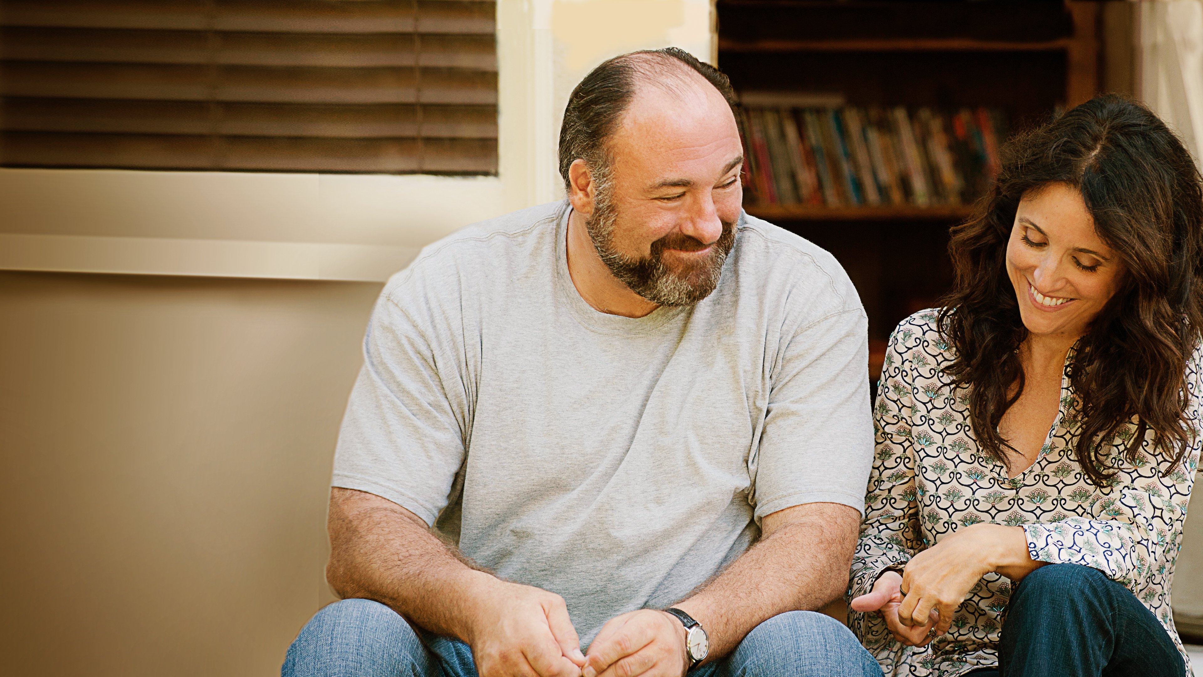 Enough Said Background