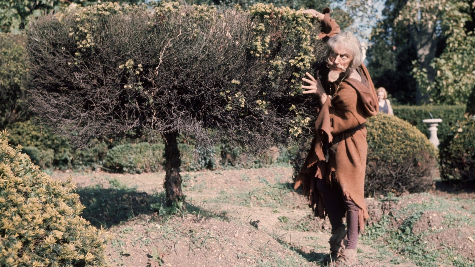 Catweazle Background