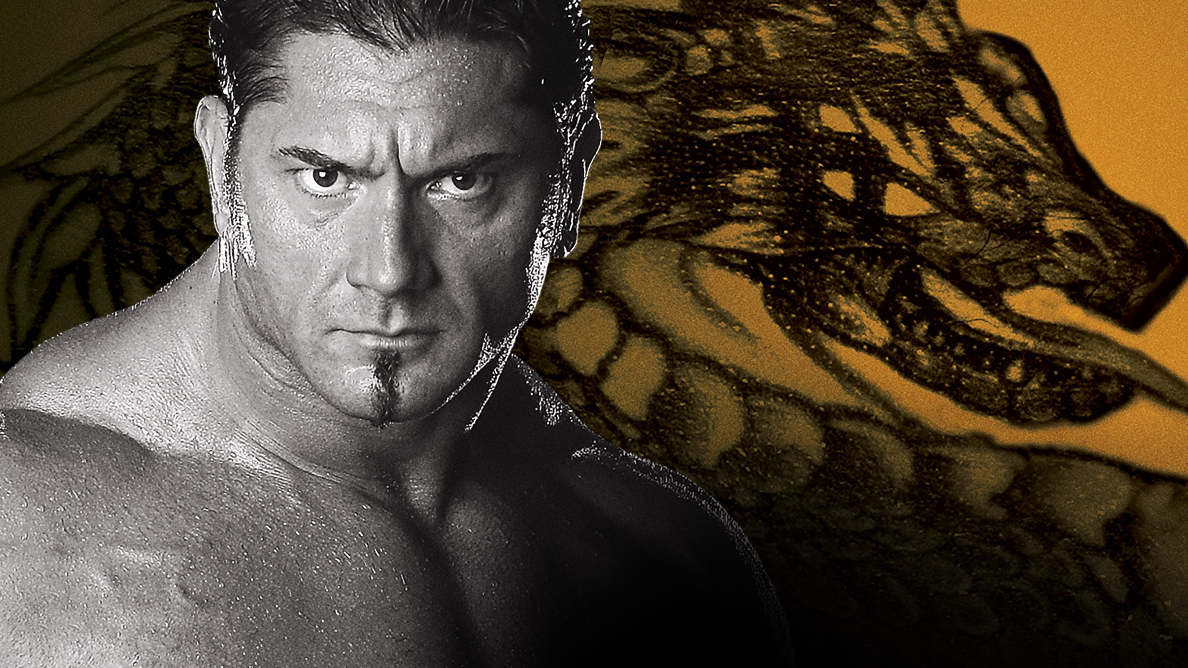 WWE New Year's Revolution 2005 Background