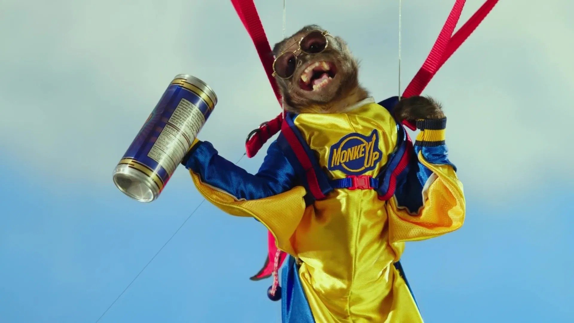 Monkey Up Background
