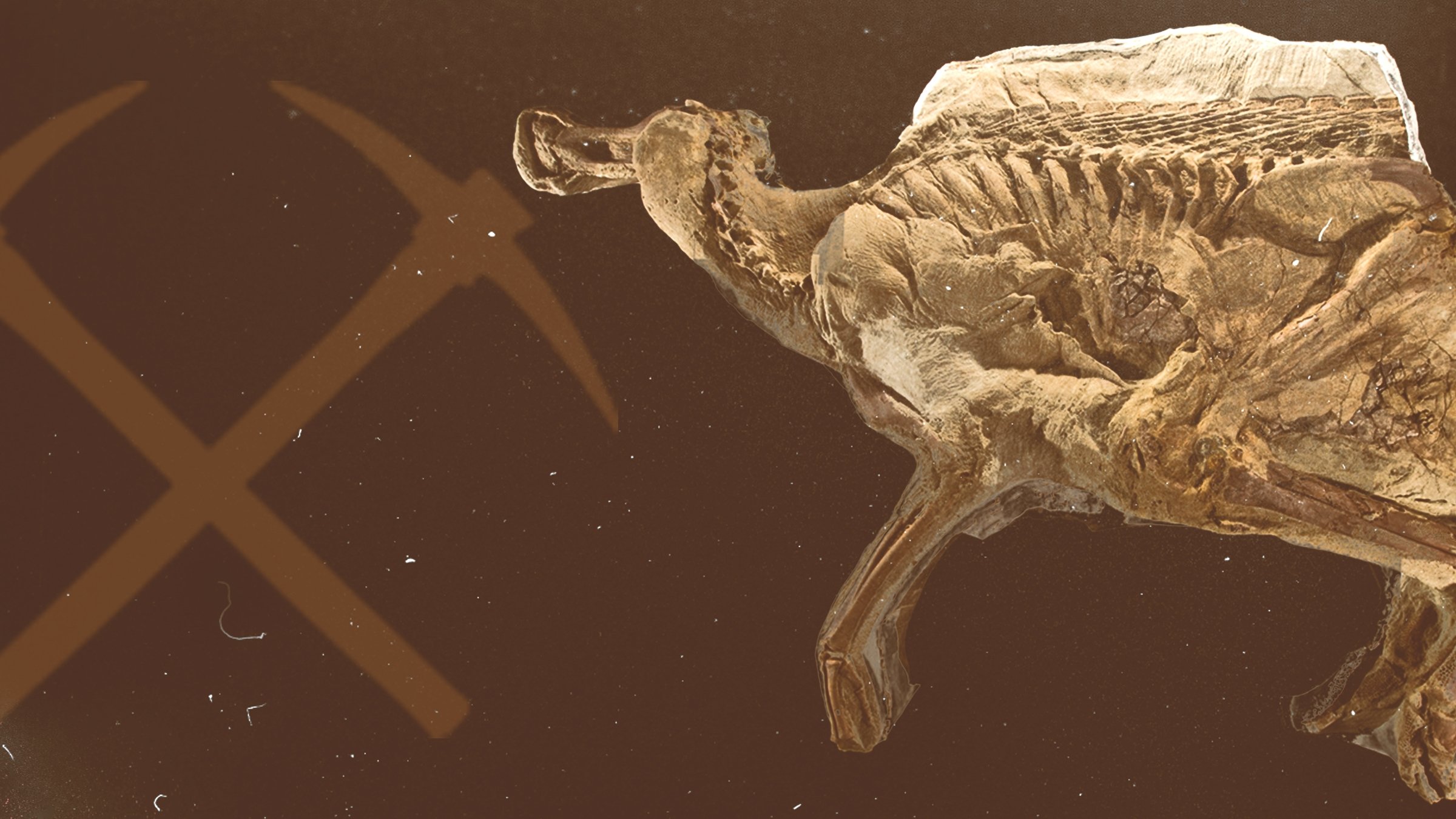 Secrets of the Dinosaur Mummy Background