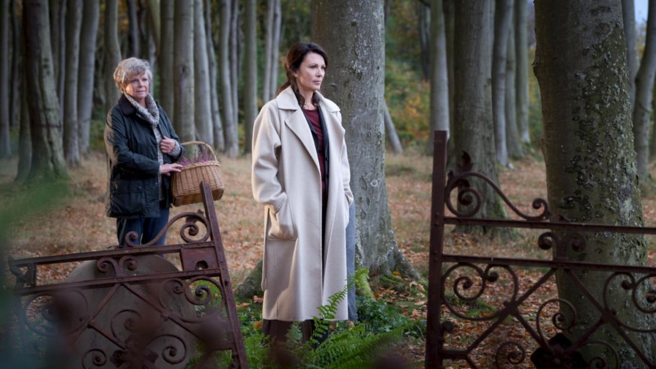 Rosa Roth Background