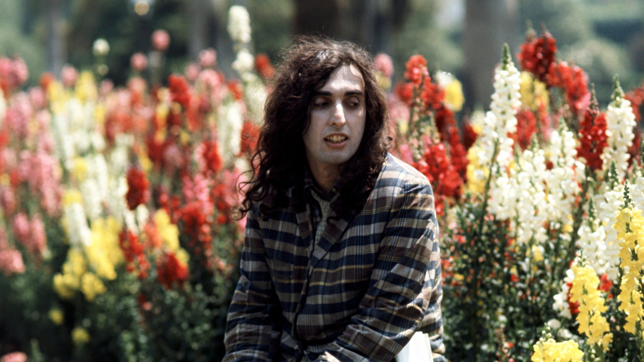 Tiny Tim: King for a Day Background