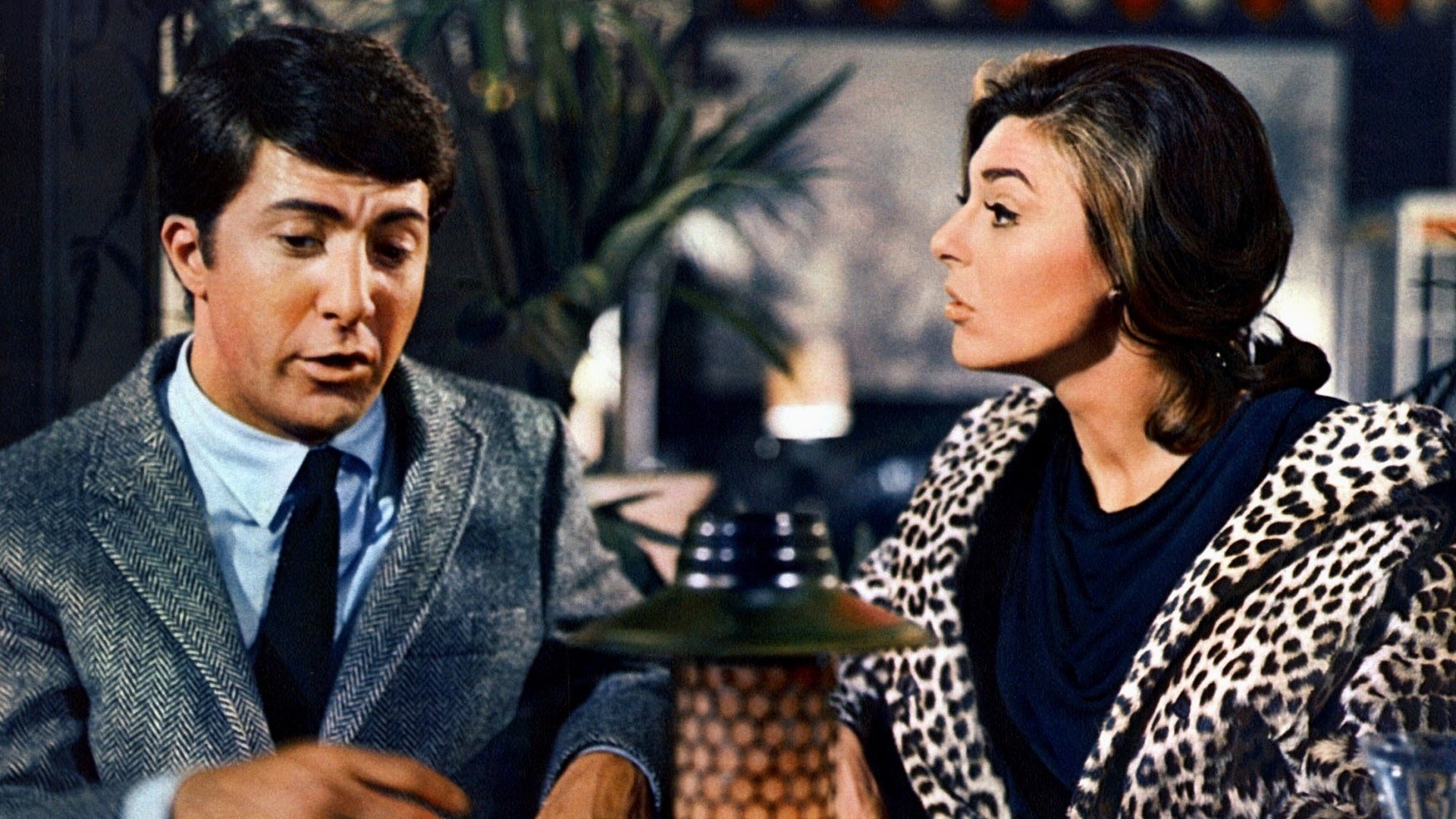 The Graduate Background