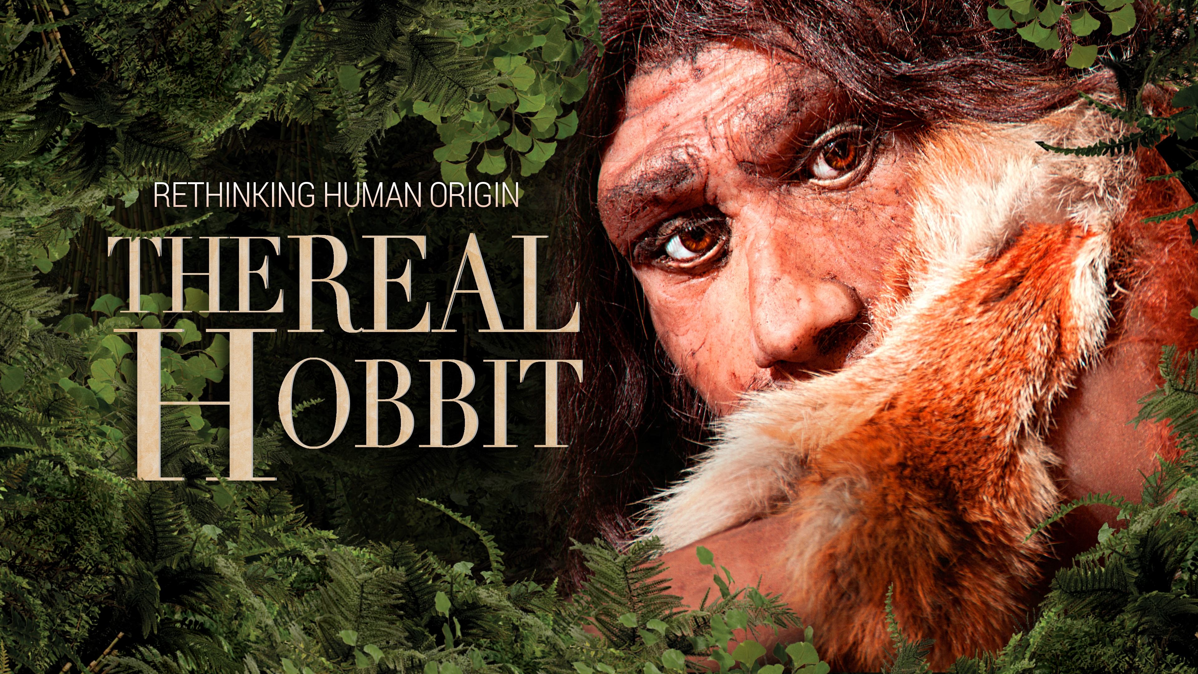 The Hobbit Enigma Background