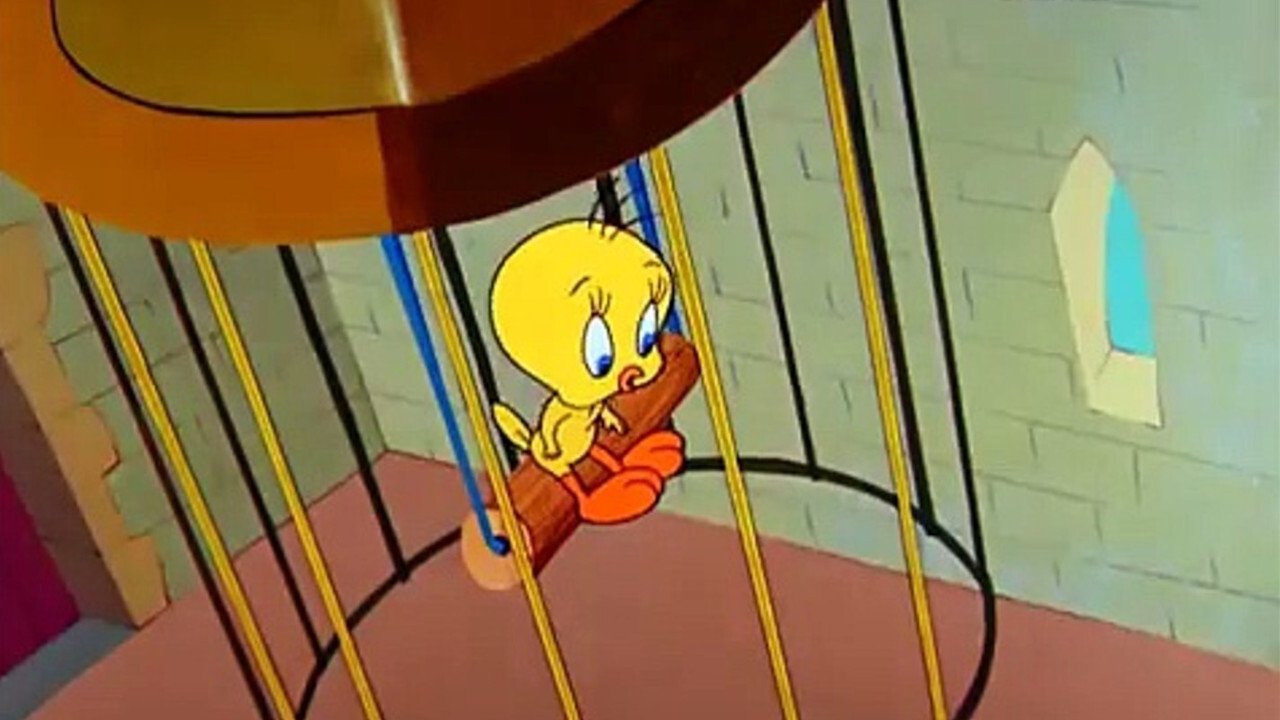 Tweety and the Beanstalk Background