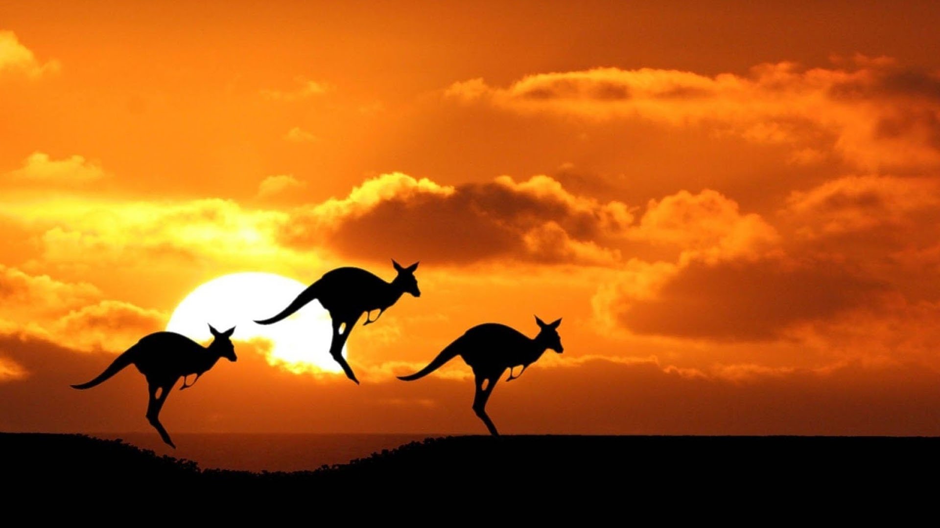 Australia: Land Beyond Time Background