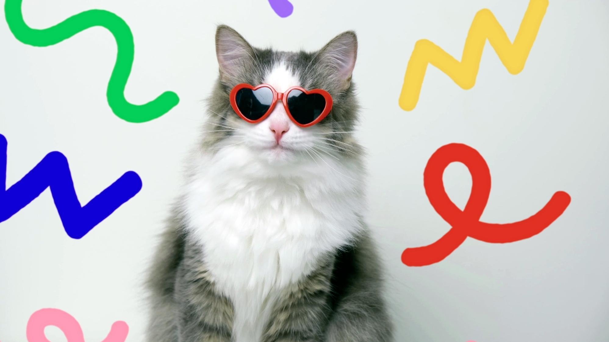En thérapie avec mon chat Background