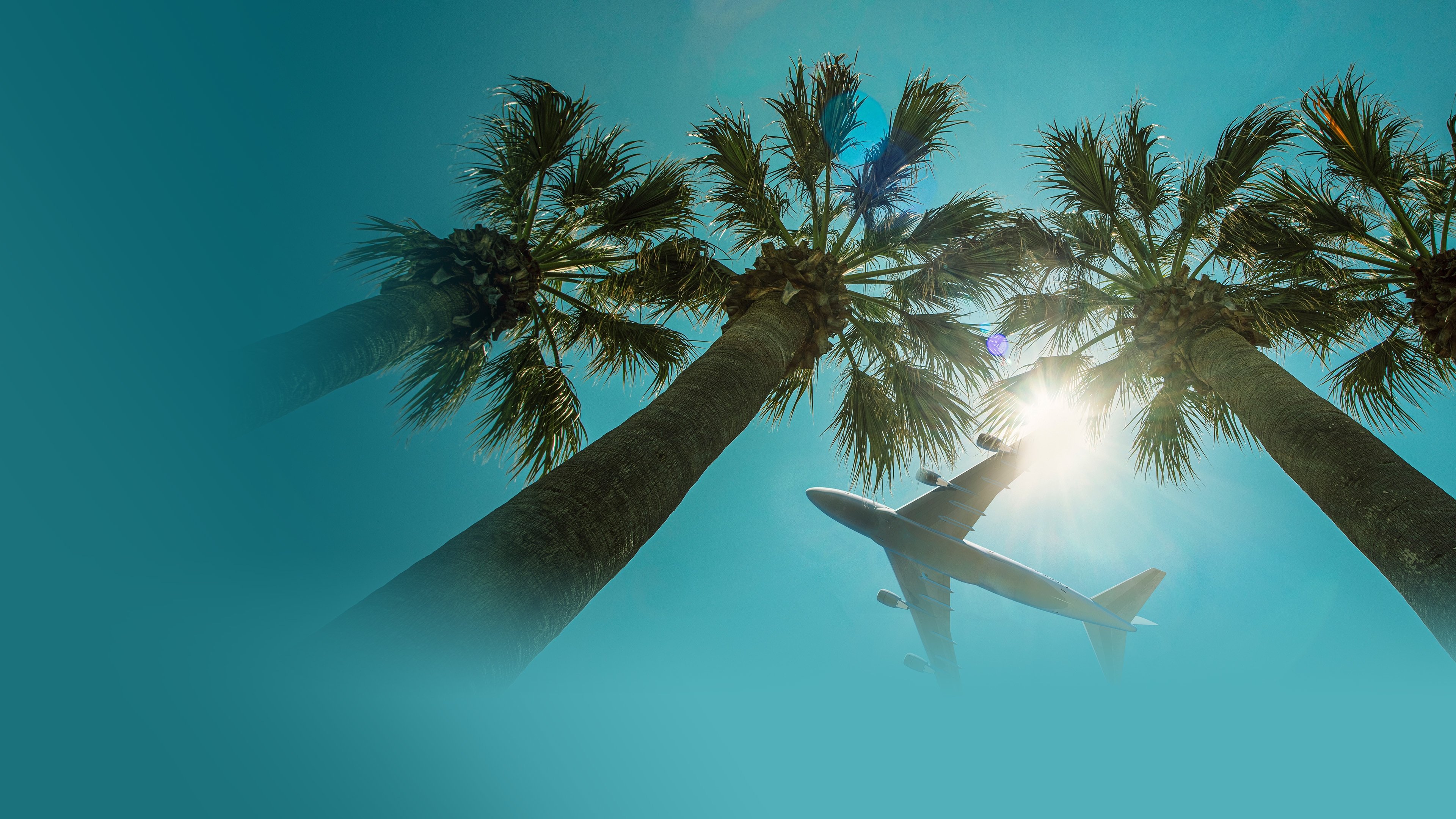 Airport 24/7: Miami Background