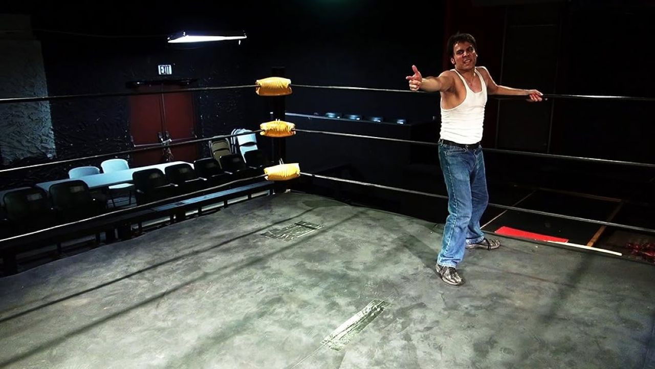 A Meowy Christmas Vacation Background