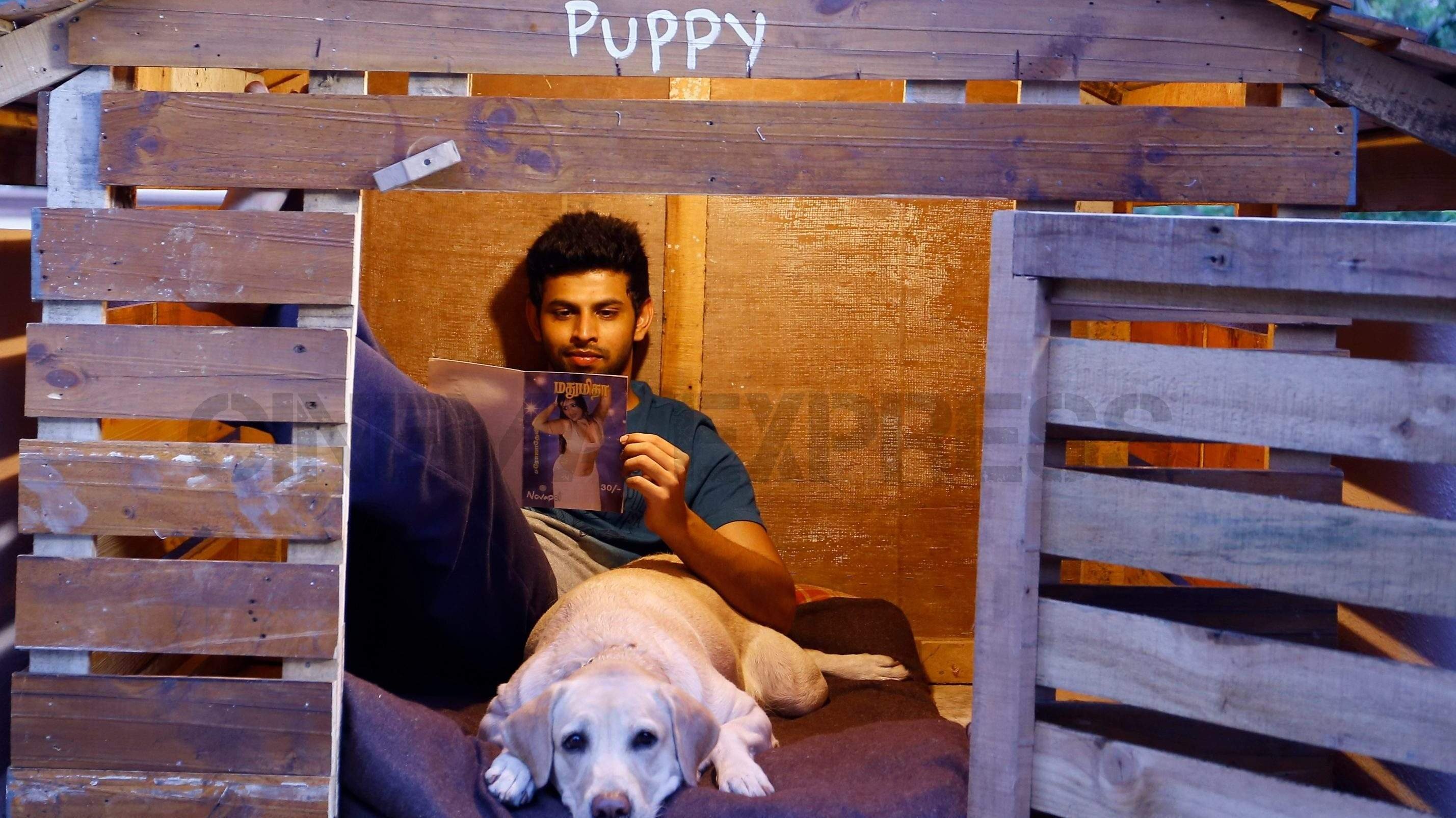 Puppy Background