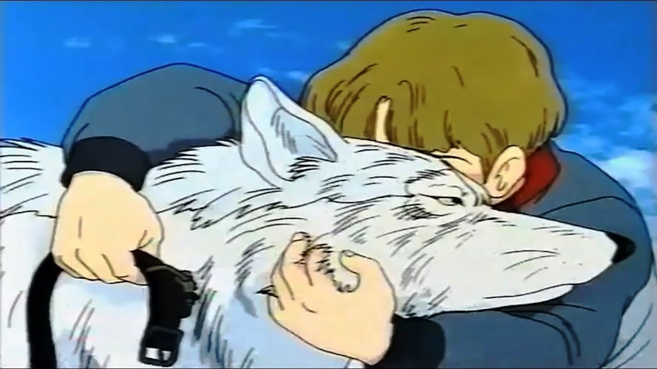 White Wolf Background