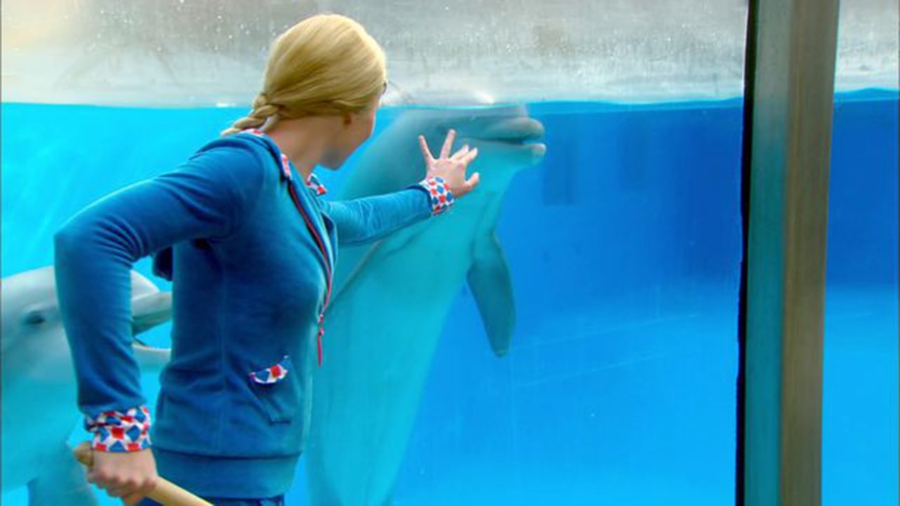 Mega Mindy: The Dolphin Robbery Background