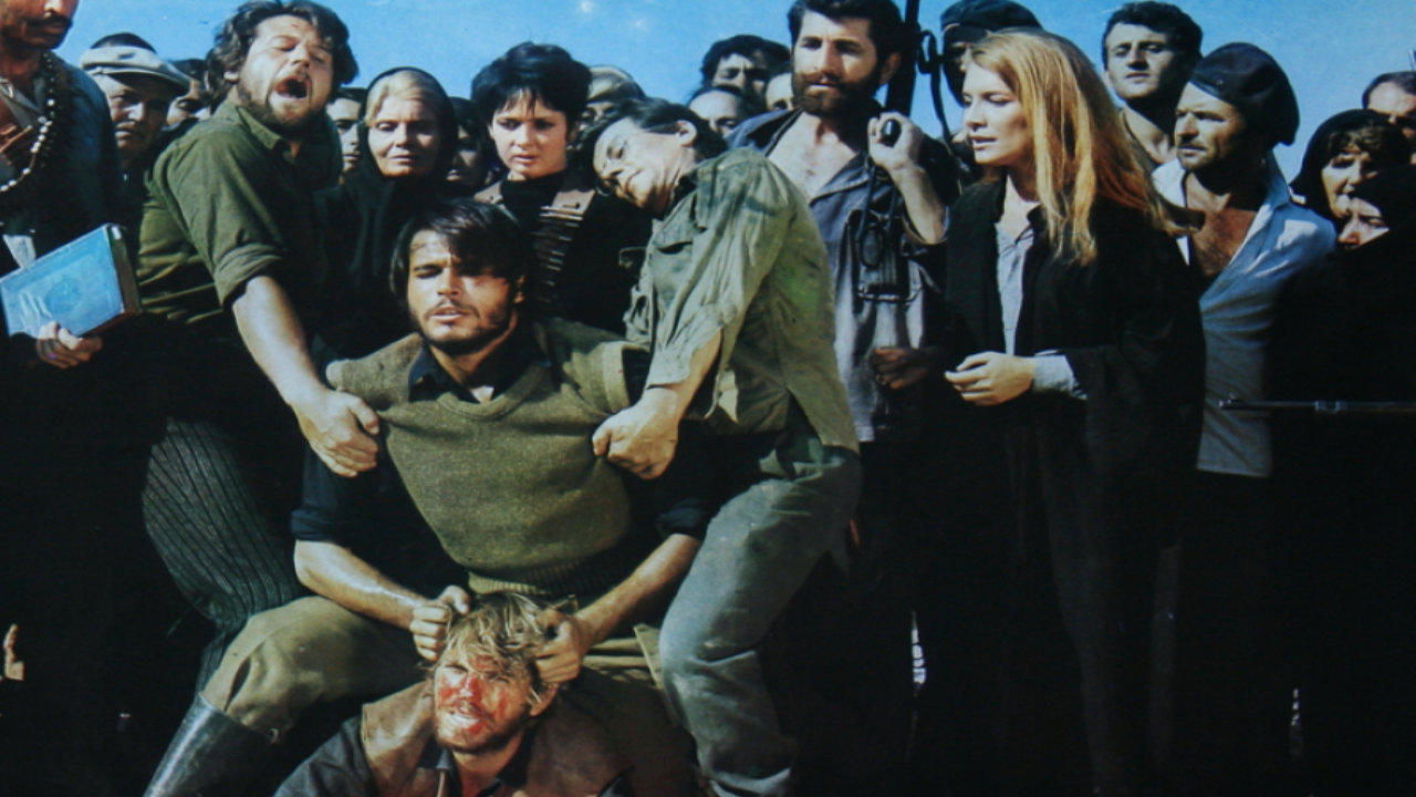 The Brave Bunch Background