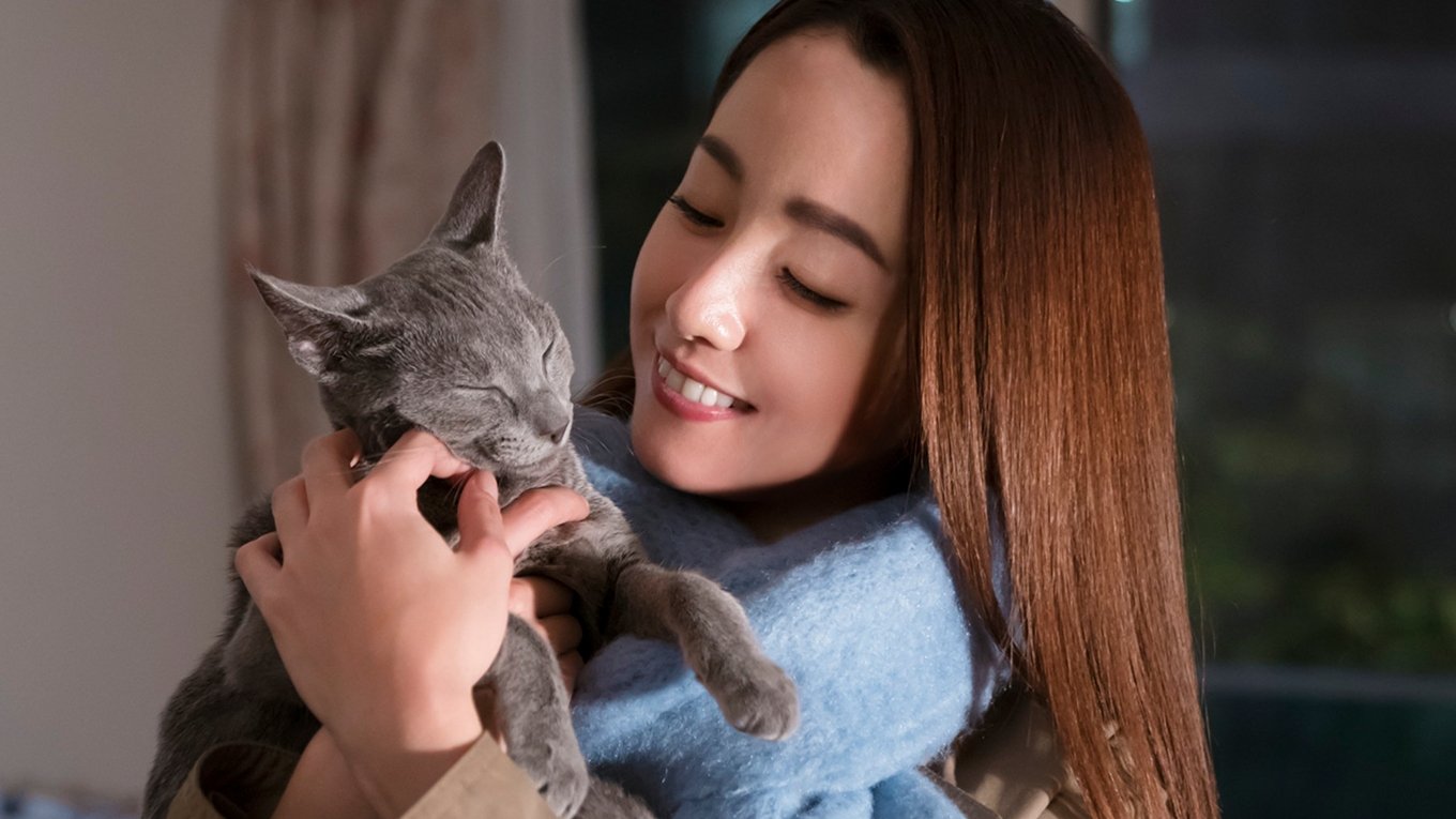 The Cat in Their Arms Background