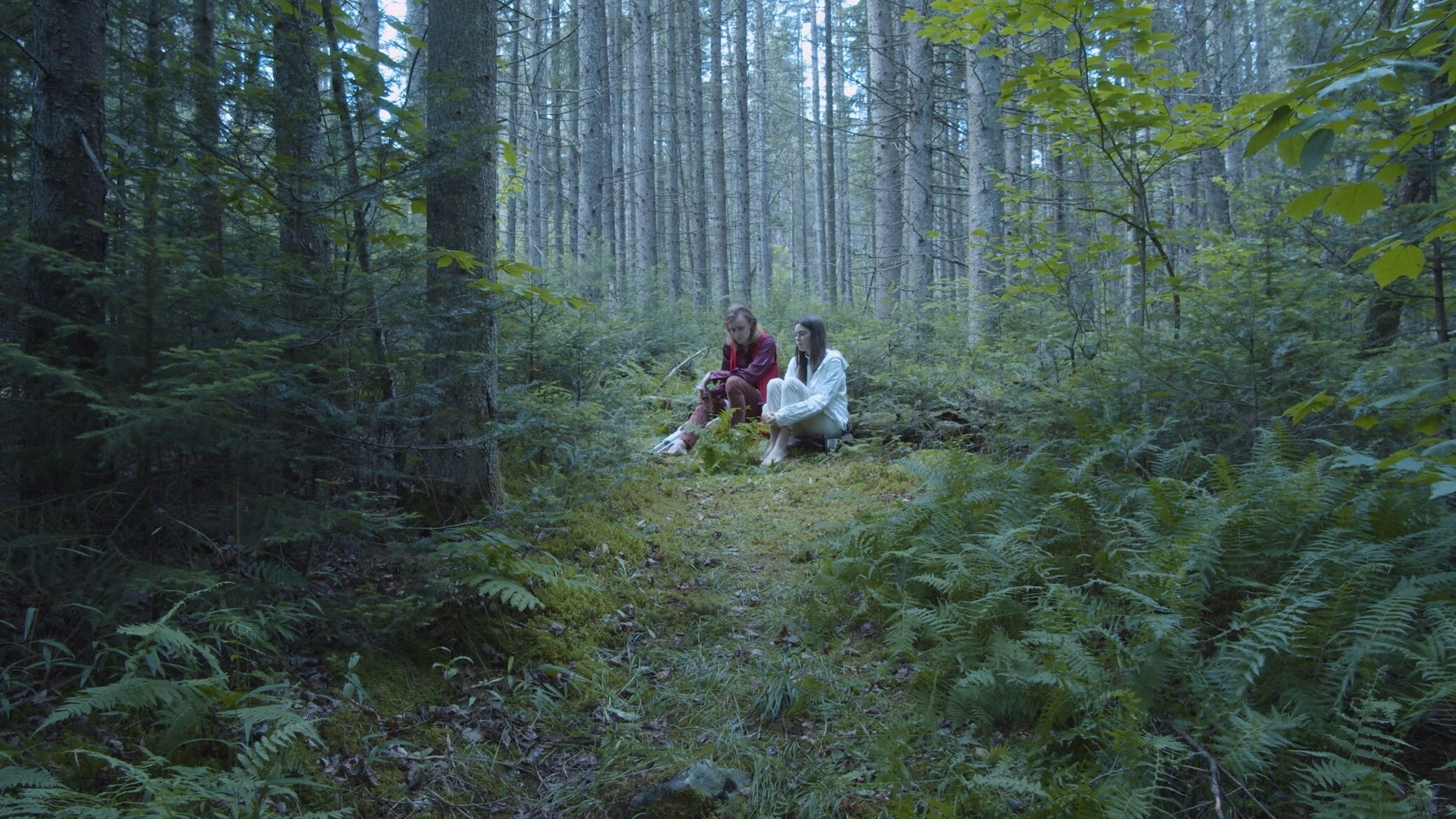 The Deli People Background