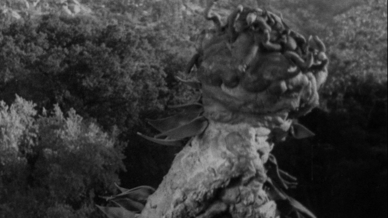 The Creeping Terror Background