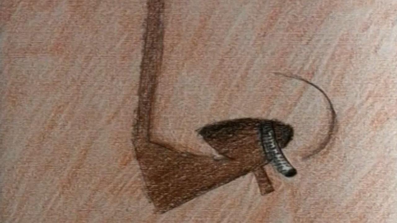 Nosehair Background