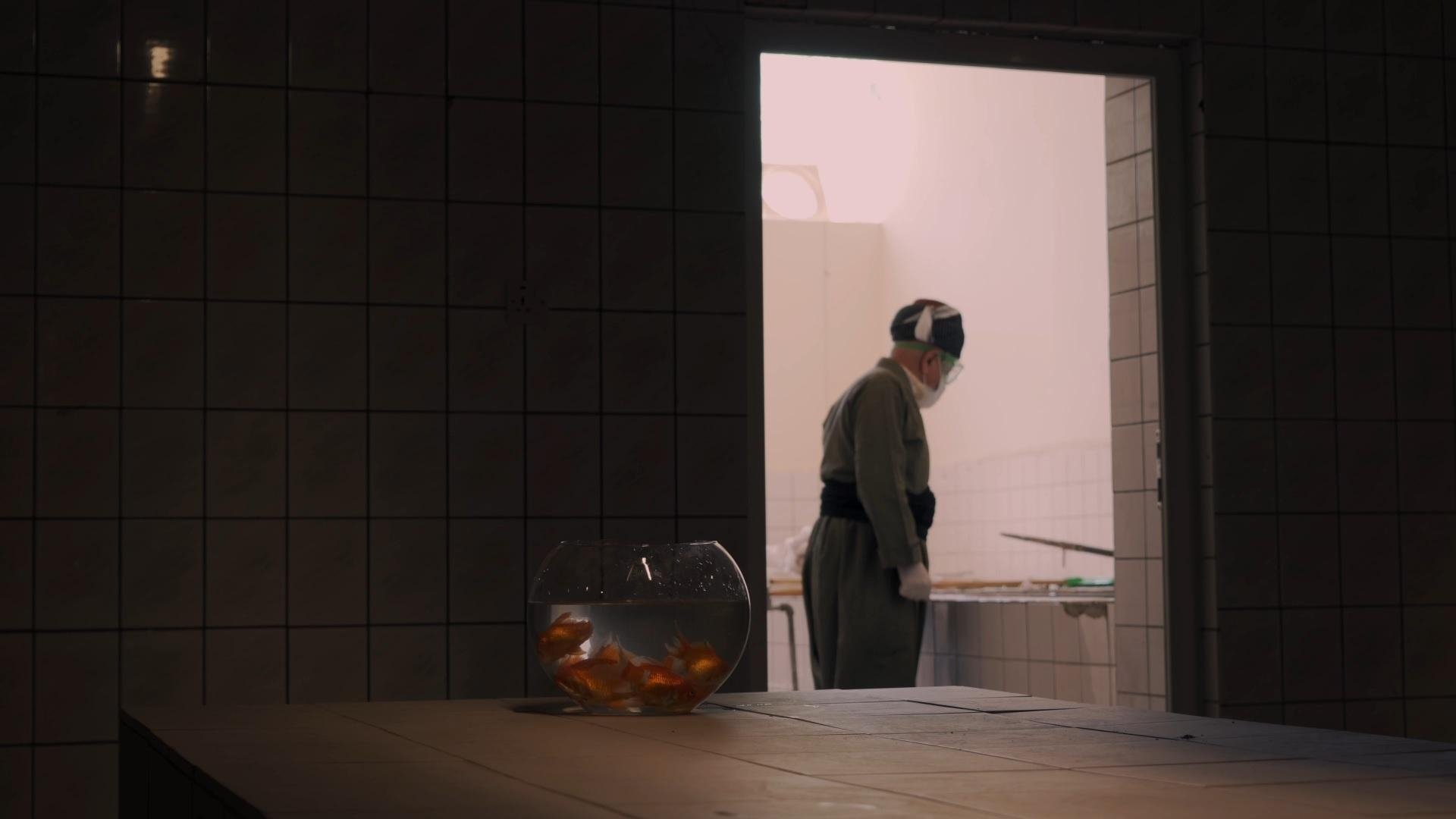 Laboratory No.2 Background