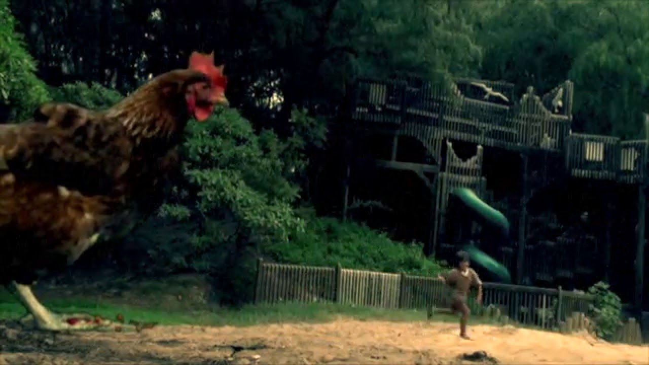 Chicken Park Background