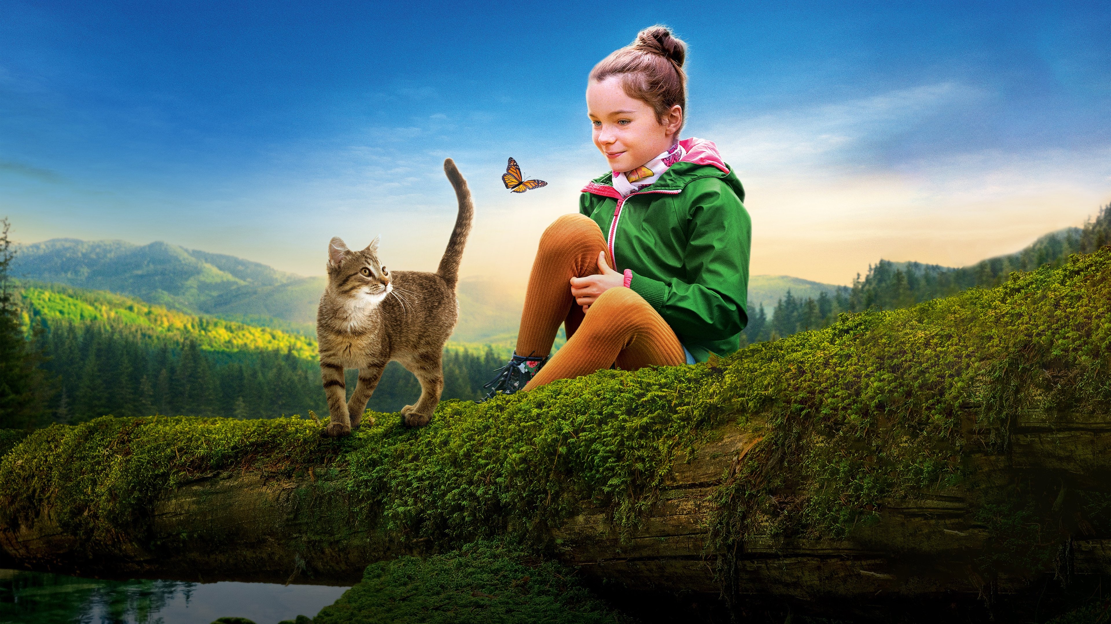 A Cat's Life Background