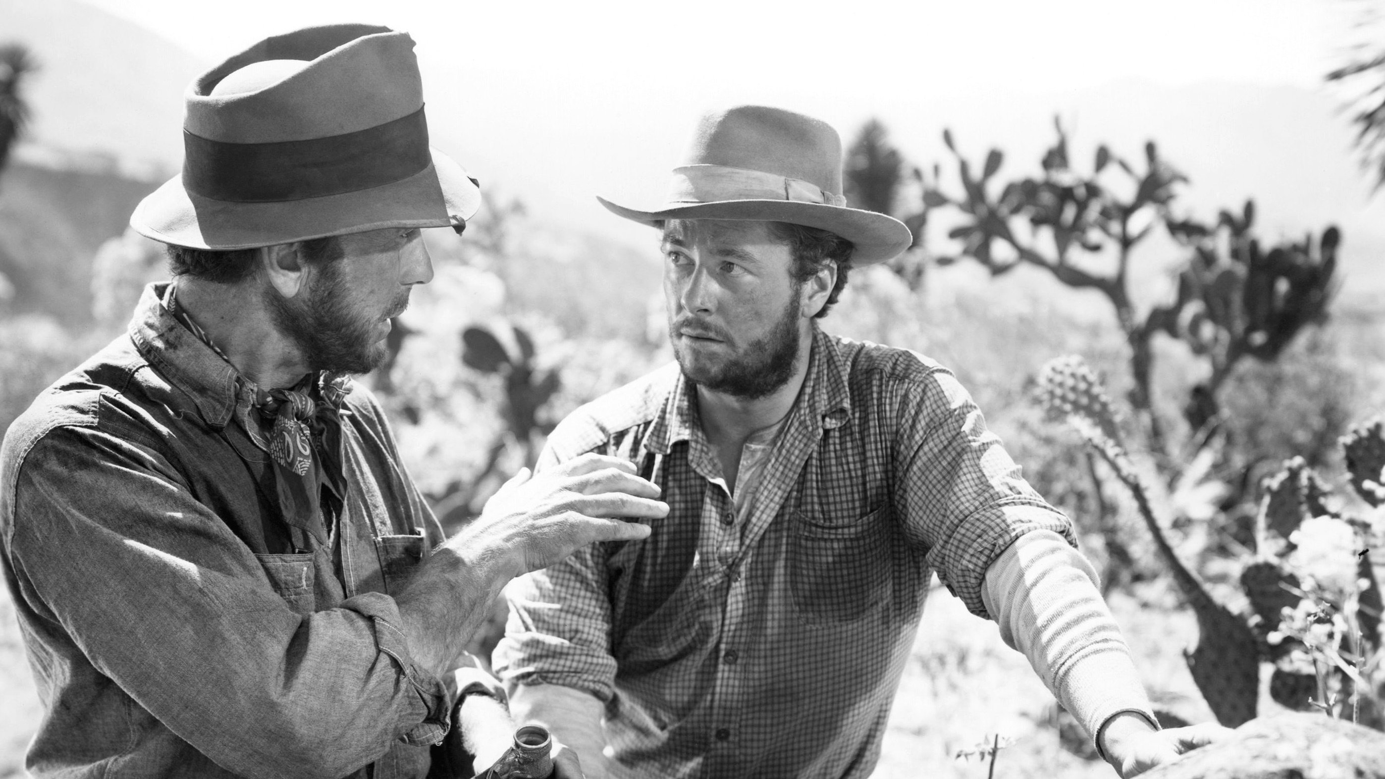 The Treasure of the Sierra Madre Background
