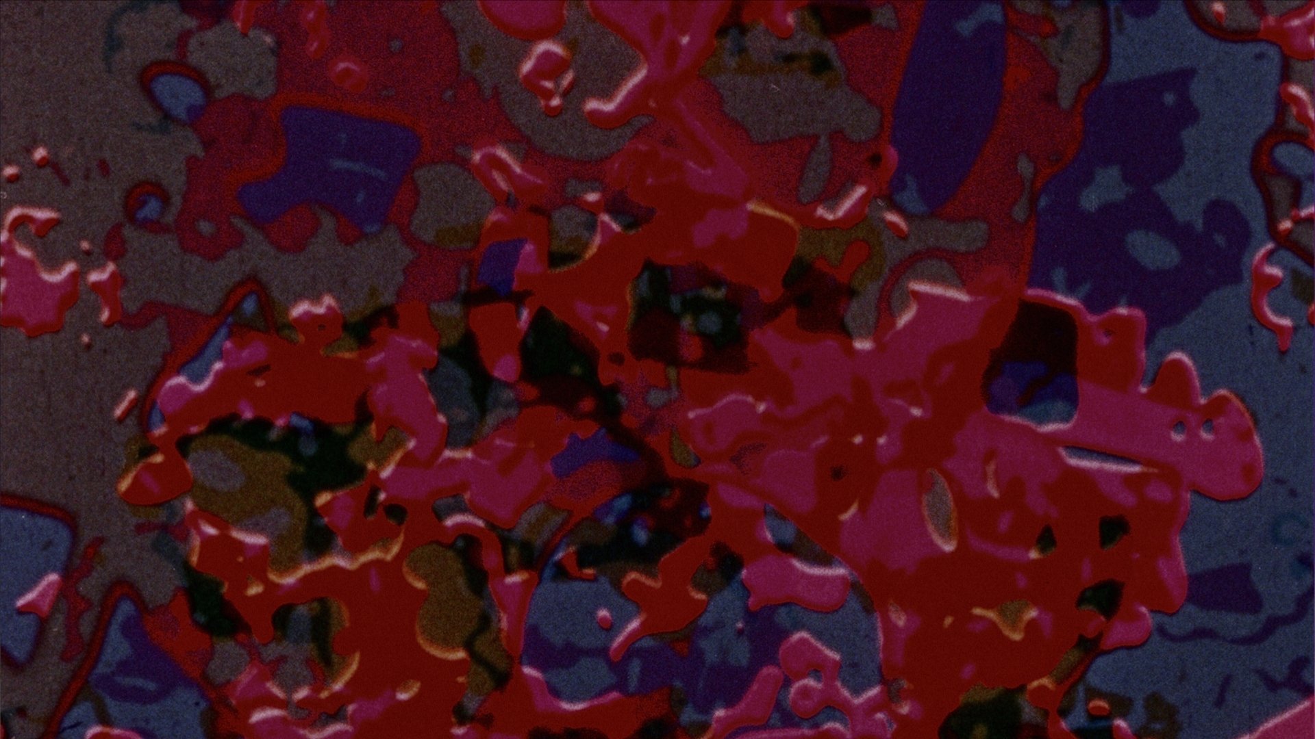 Easyout Background