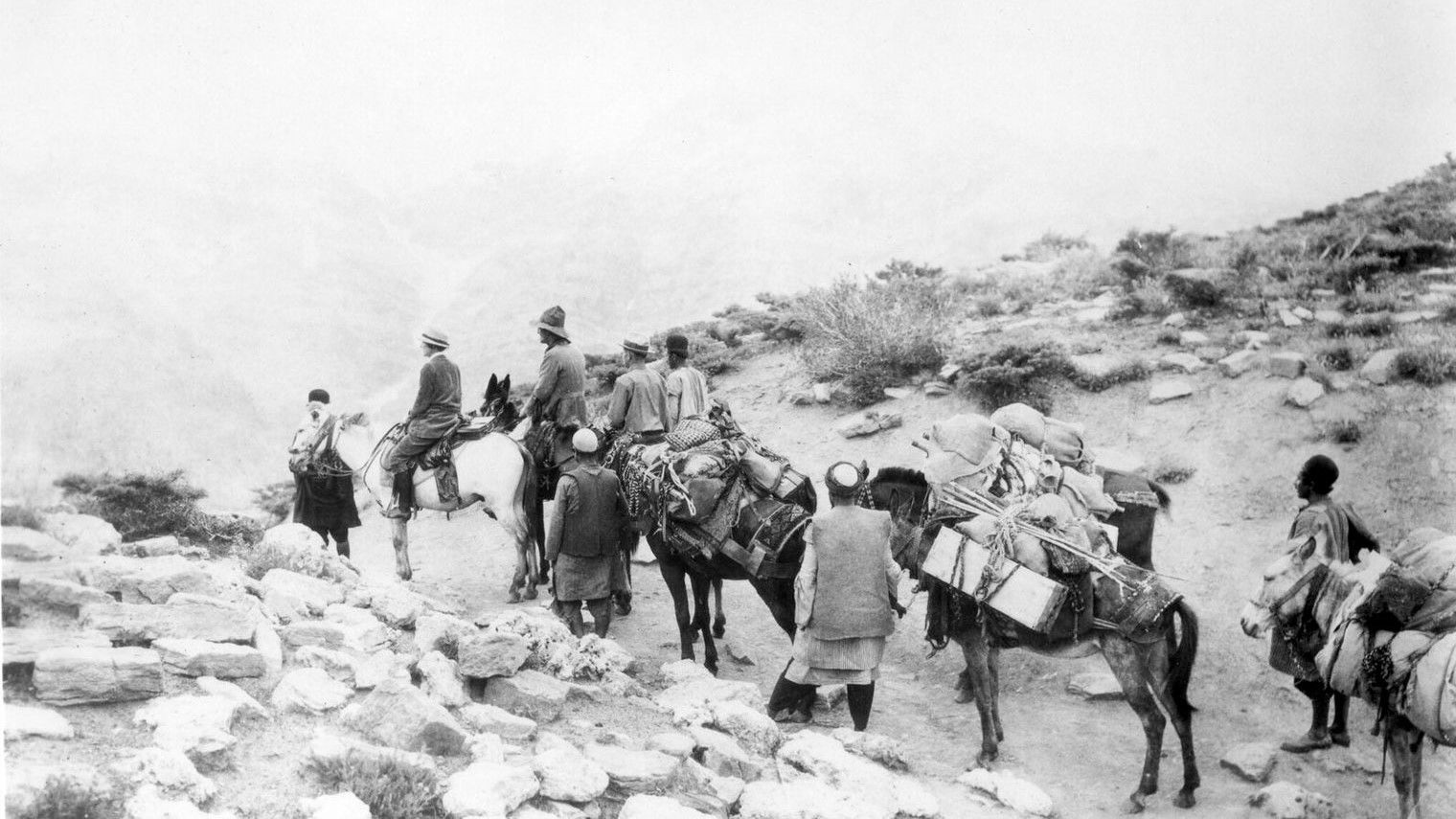 Grass: A Nation's Battle for Life Background