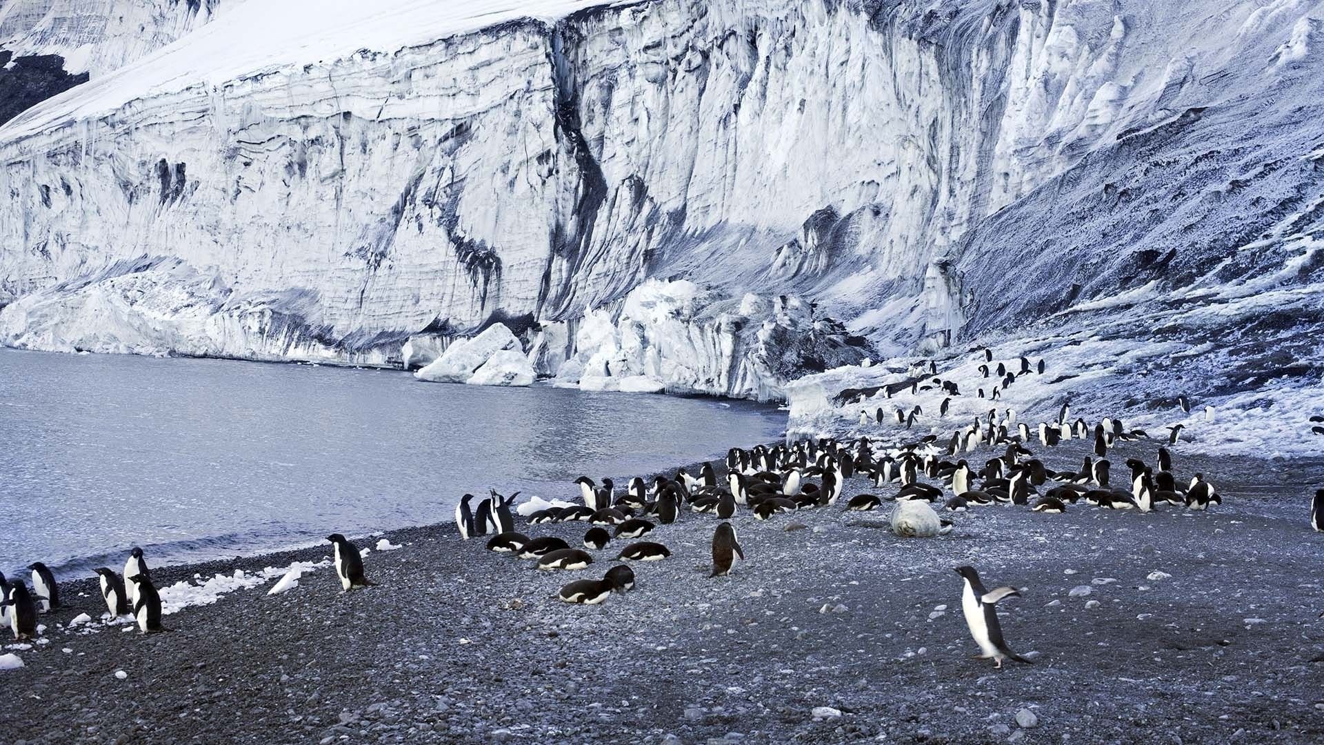 Antarctica: The Frozen Time Background