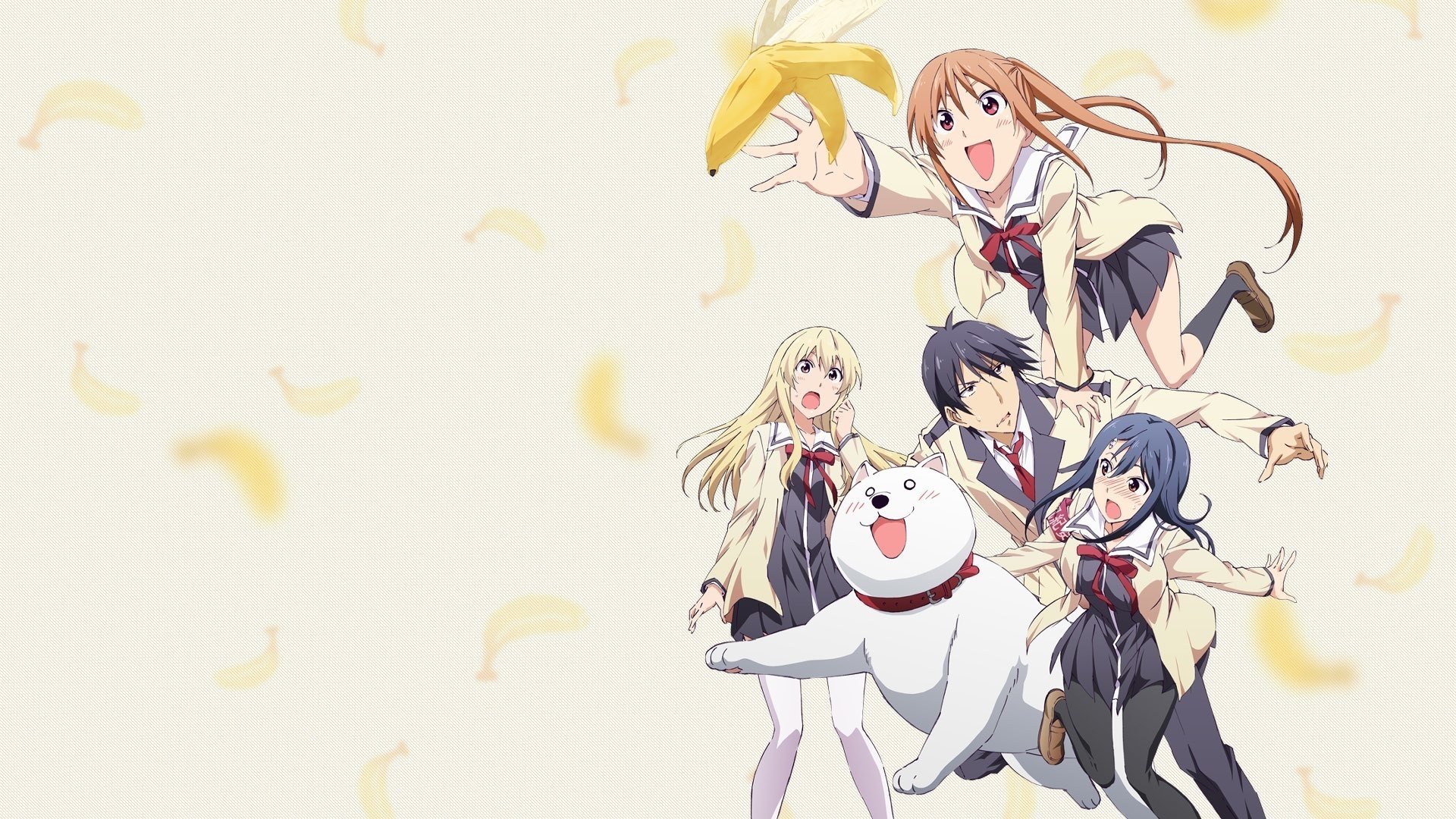 AHO-GIRL Background