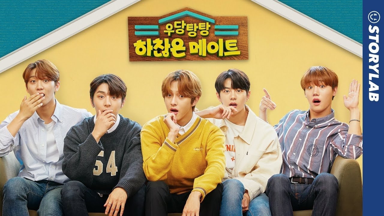 Crazy Petty Housemate Background
