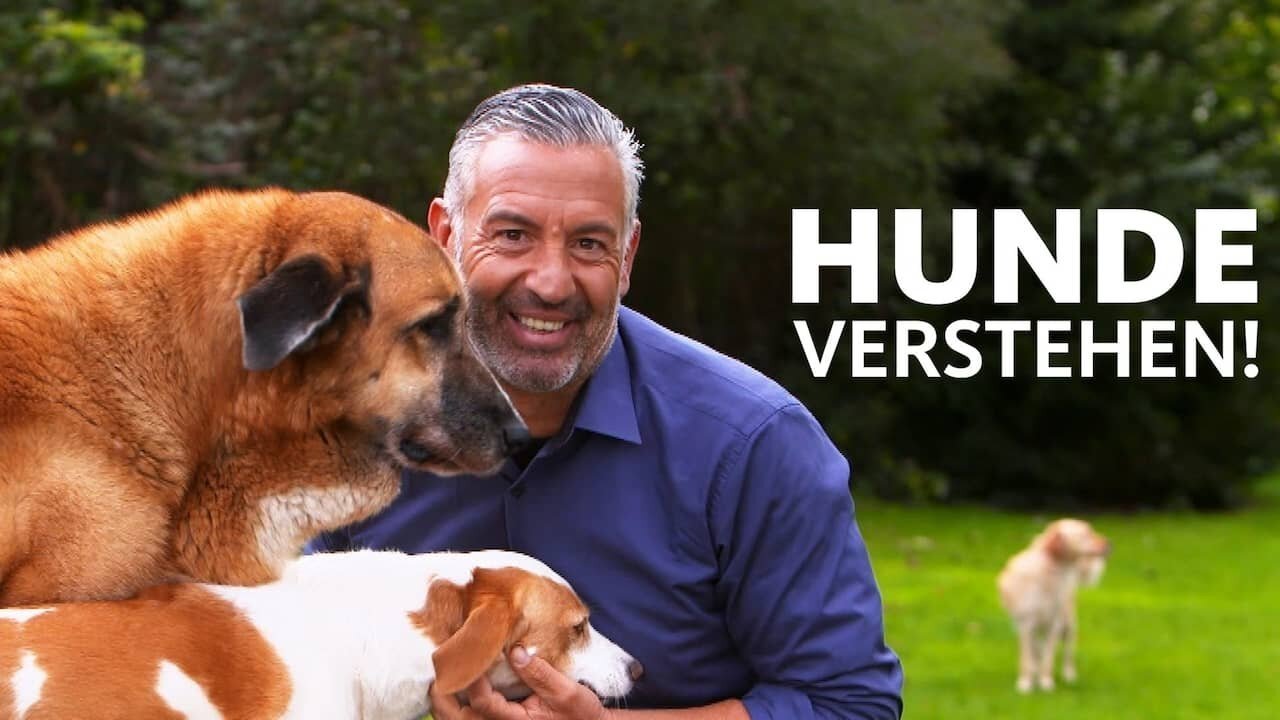 Hunde verstehen! Background