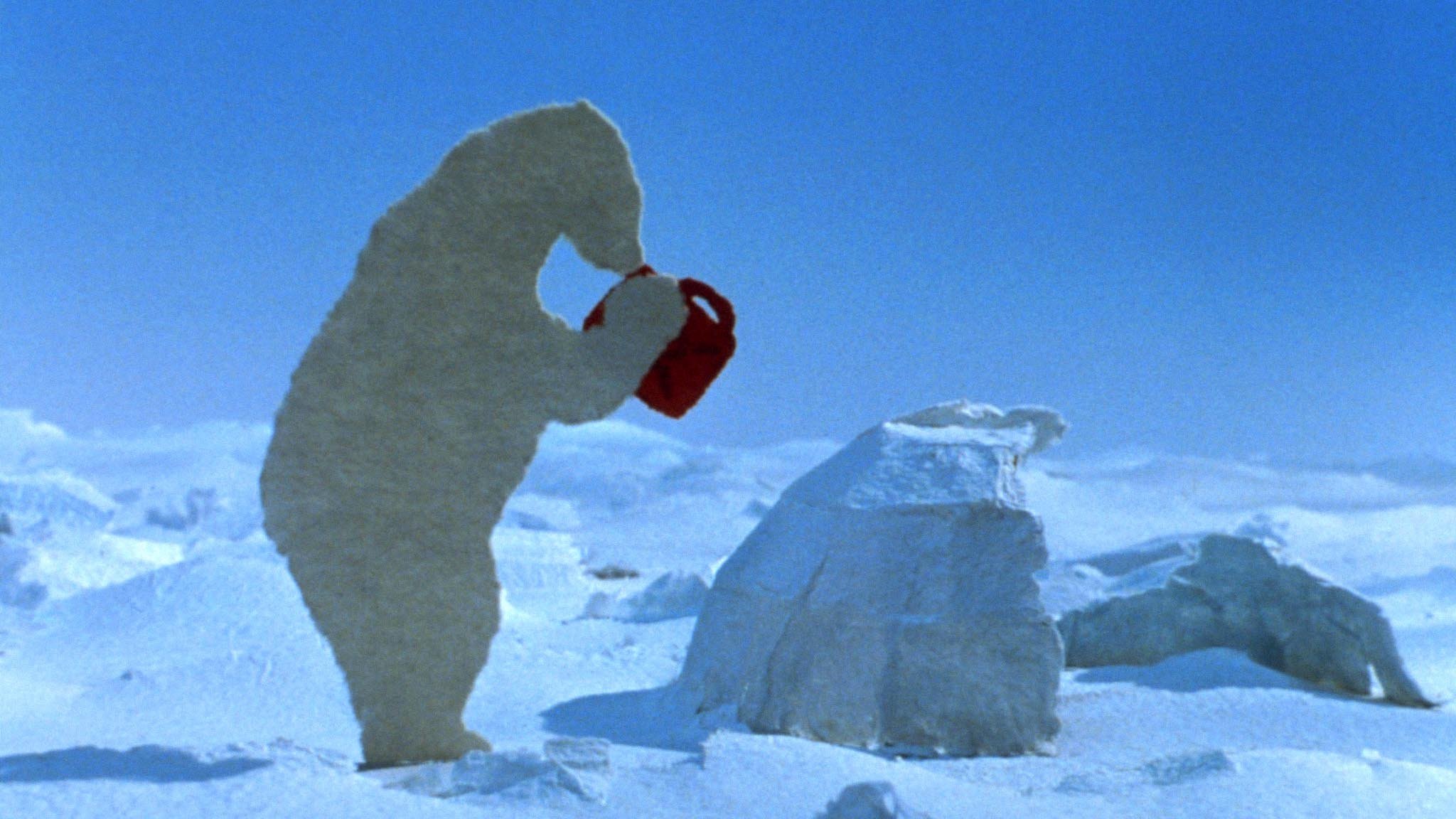 The Sniffing Bear Background
