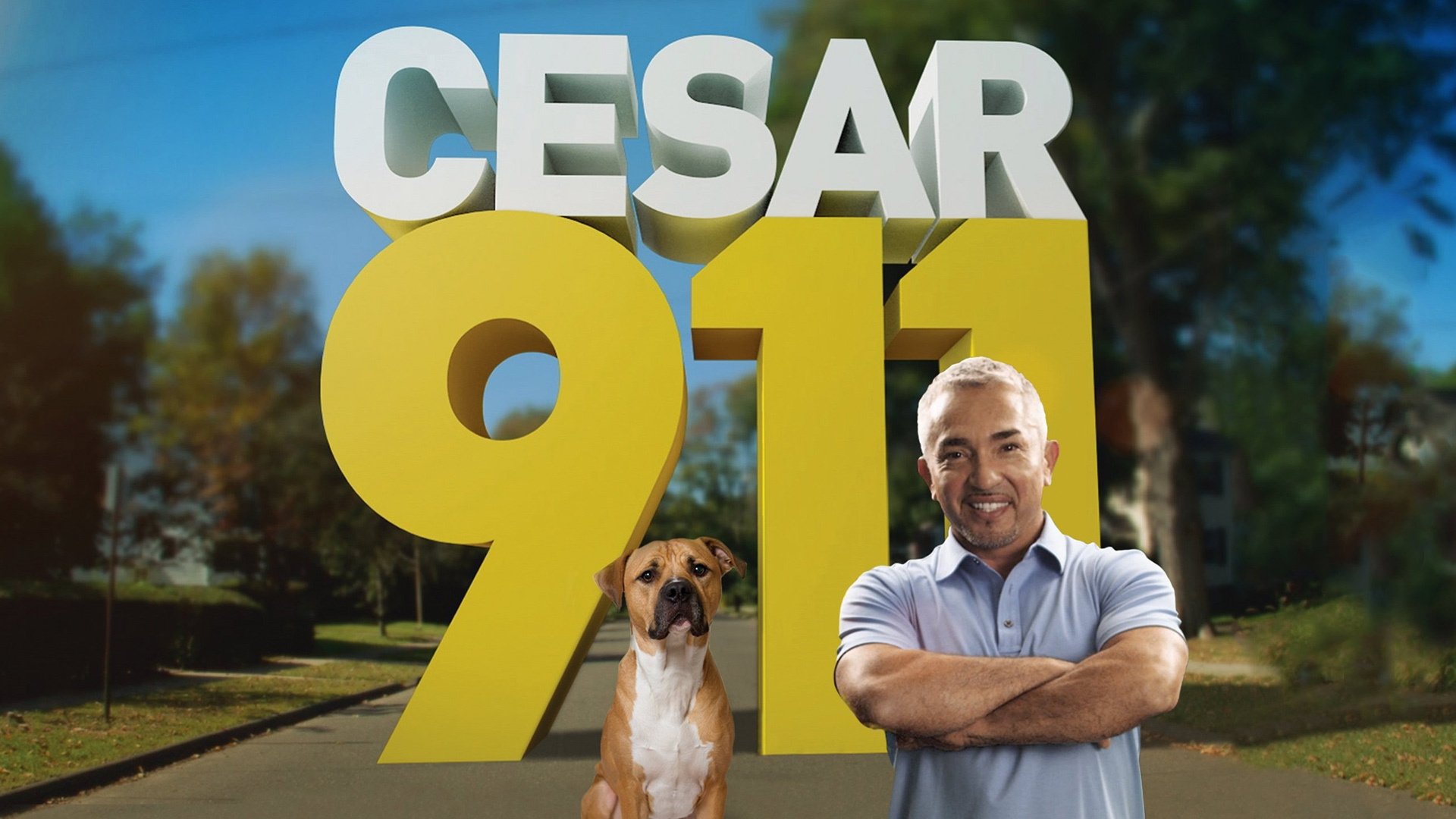 Cesar 911 Background