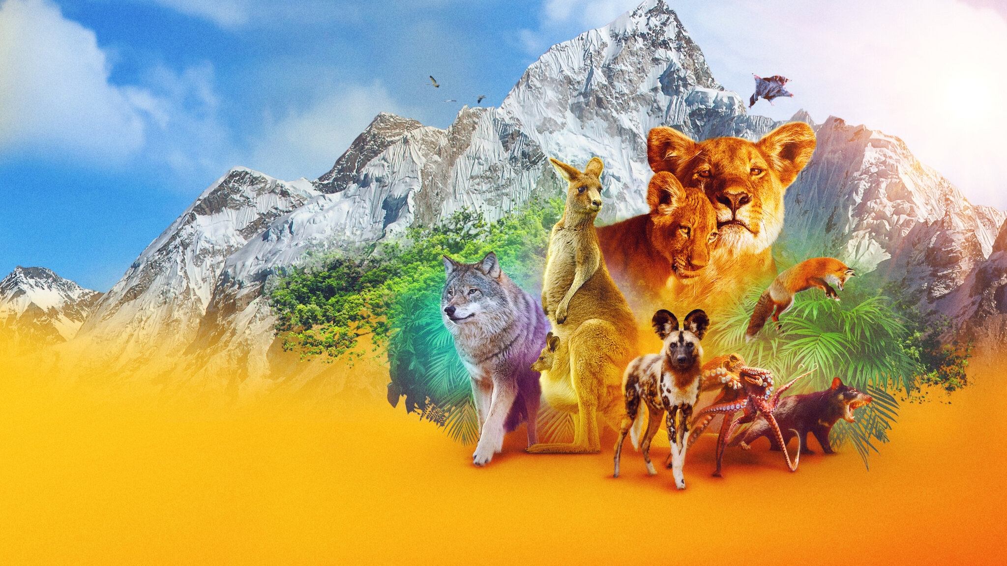 Animal Background