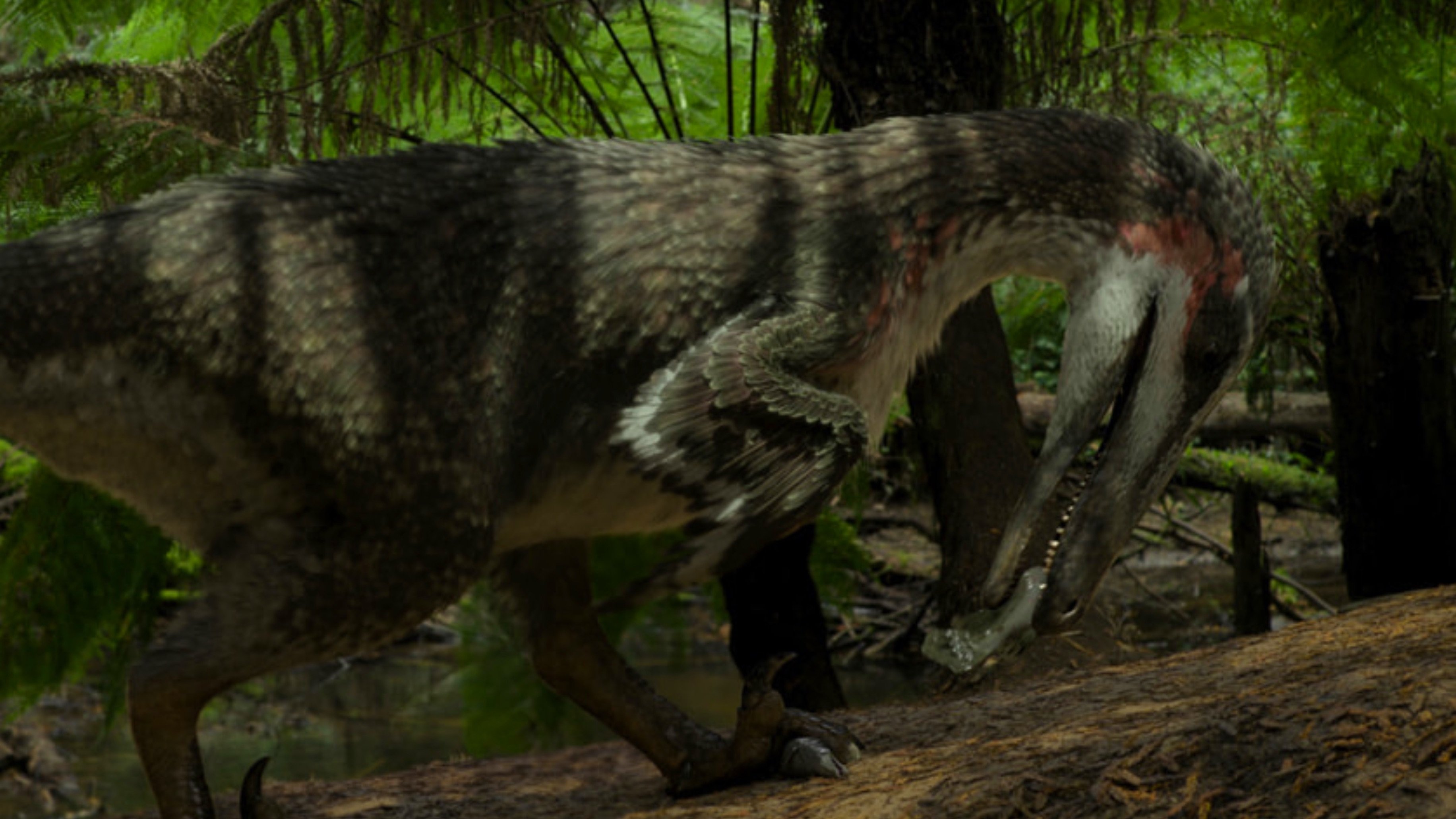 When Dinosaurs Roamed America Background