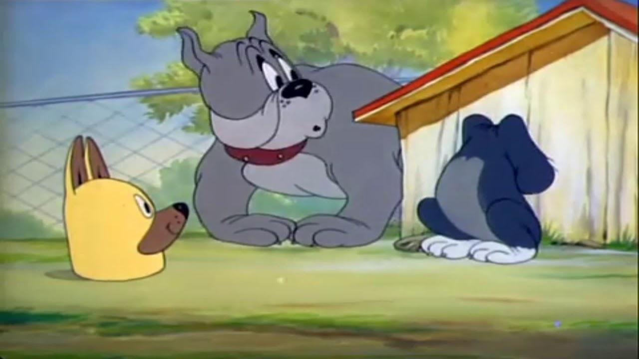 Puttin' on the Dog Background