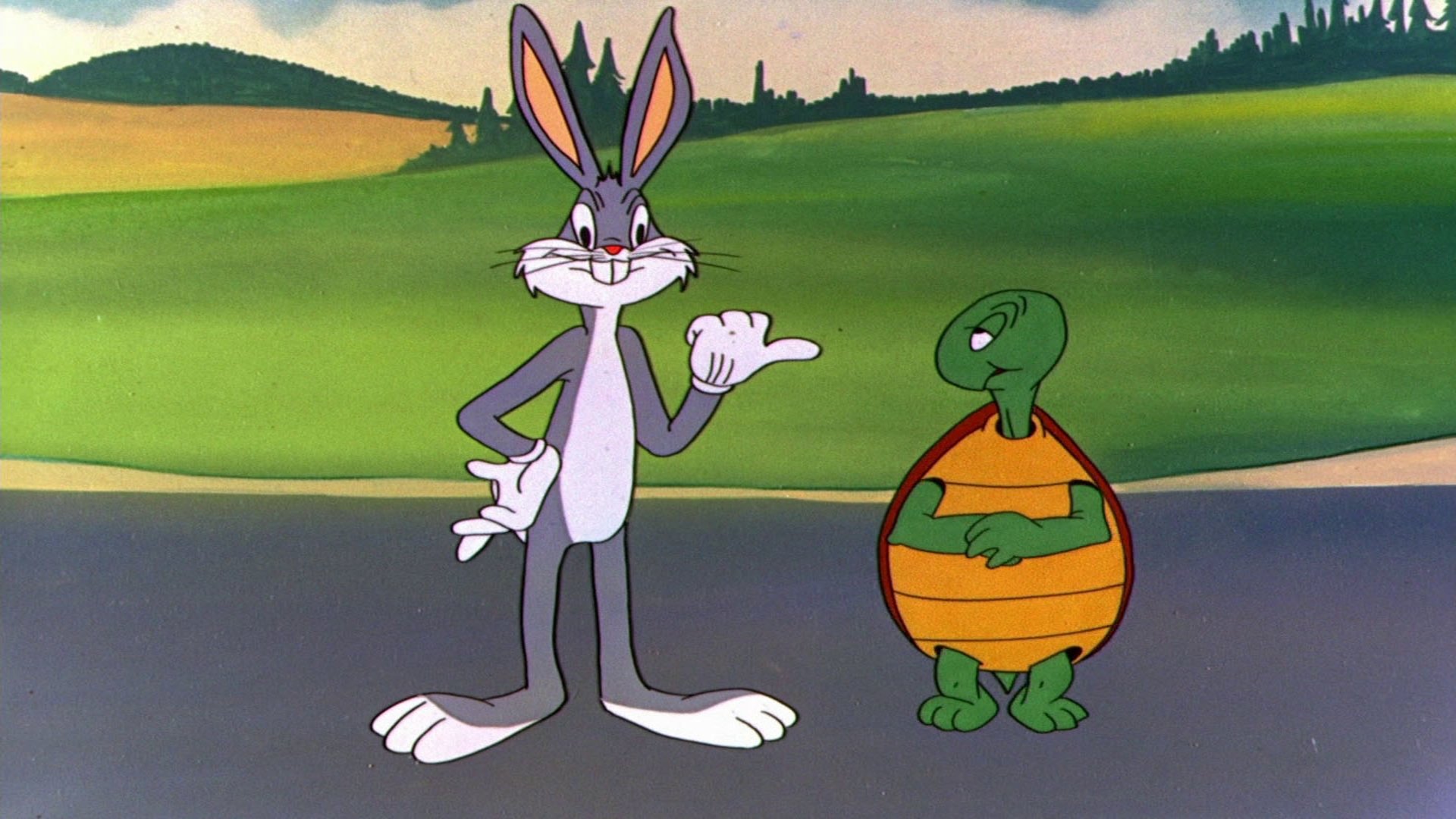 Rabbit Transit Background