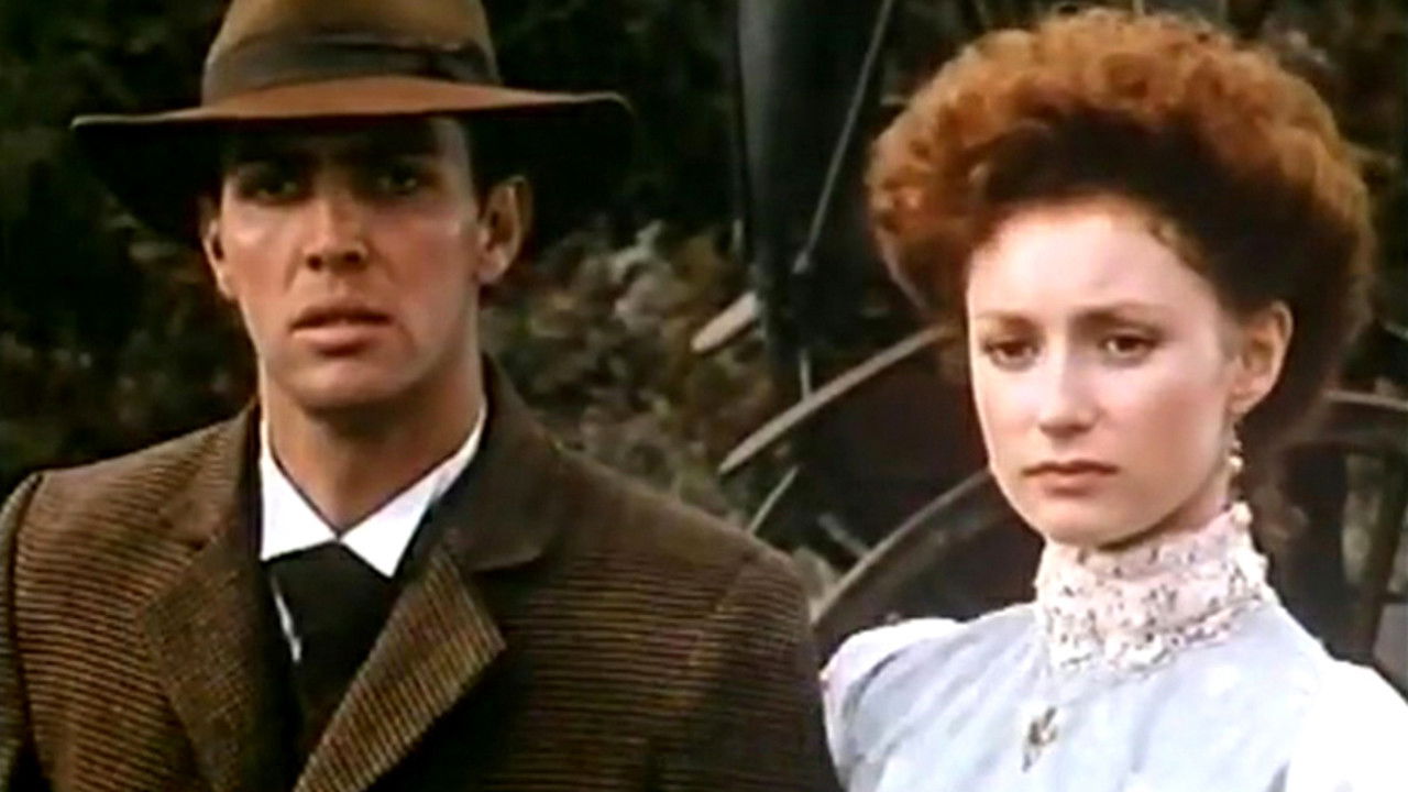 Circles in a Forest Background