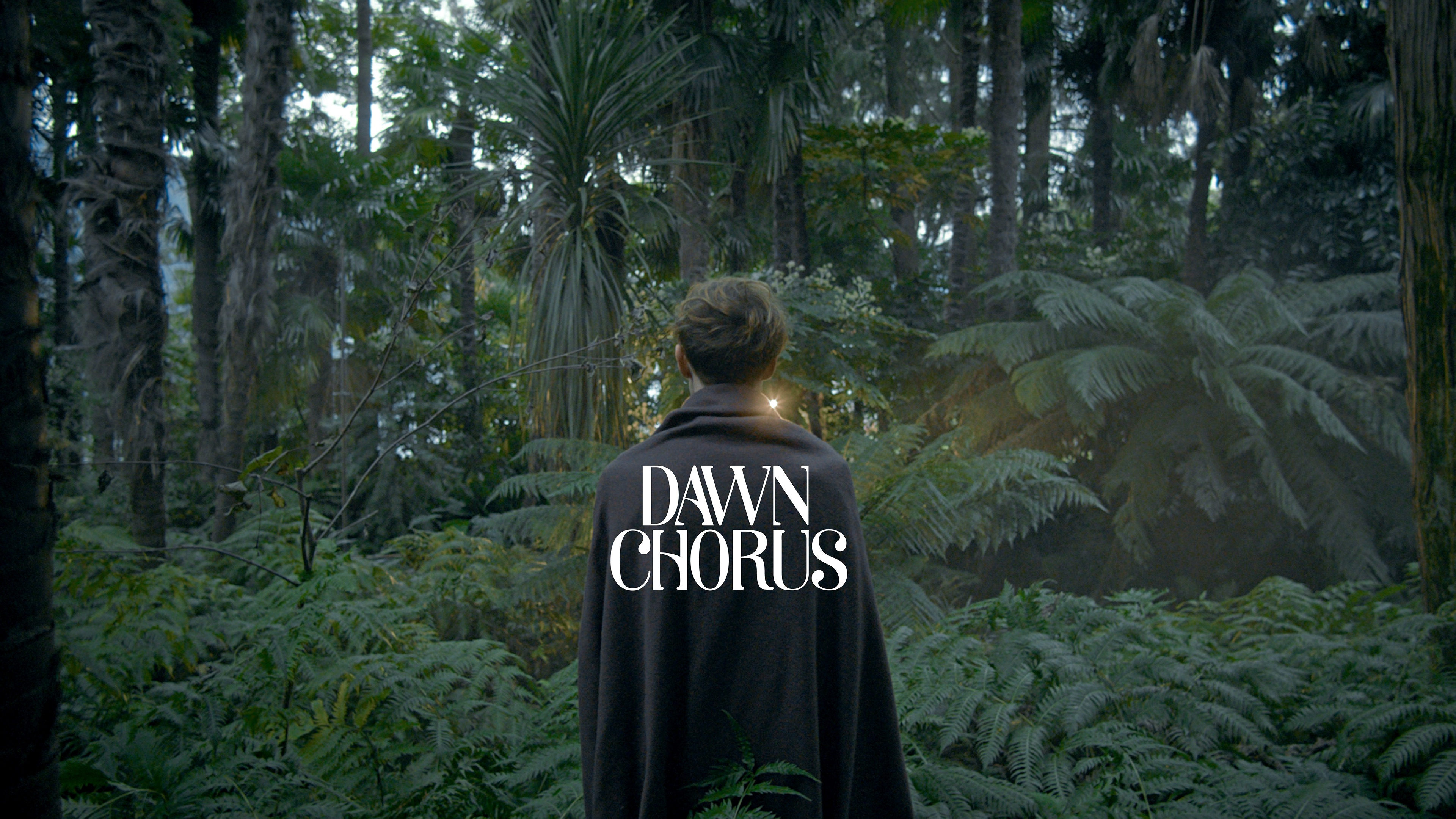 Dawn Chorus Background