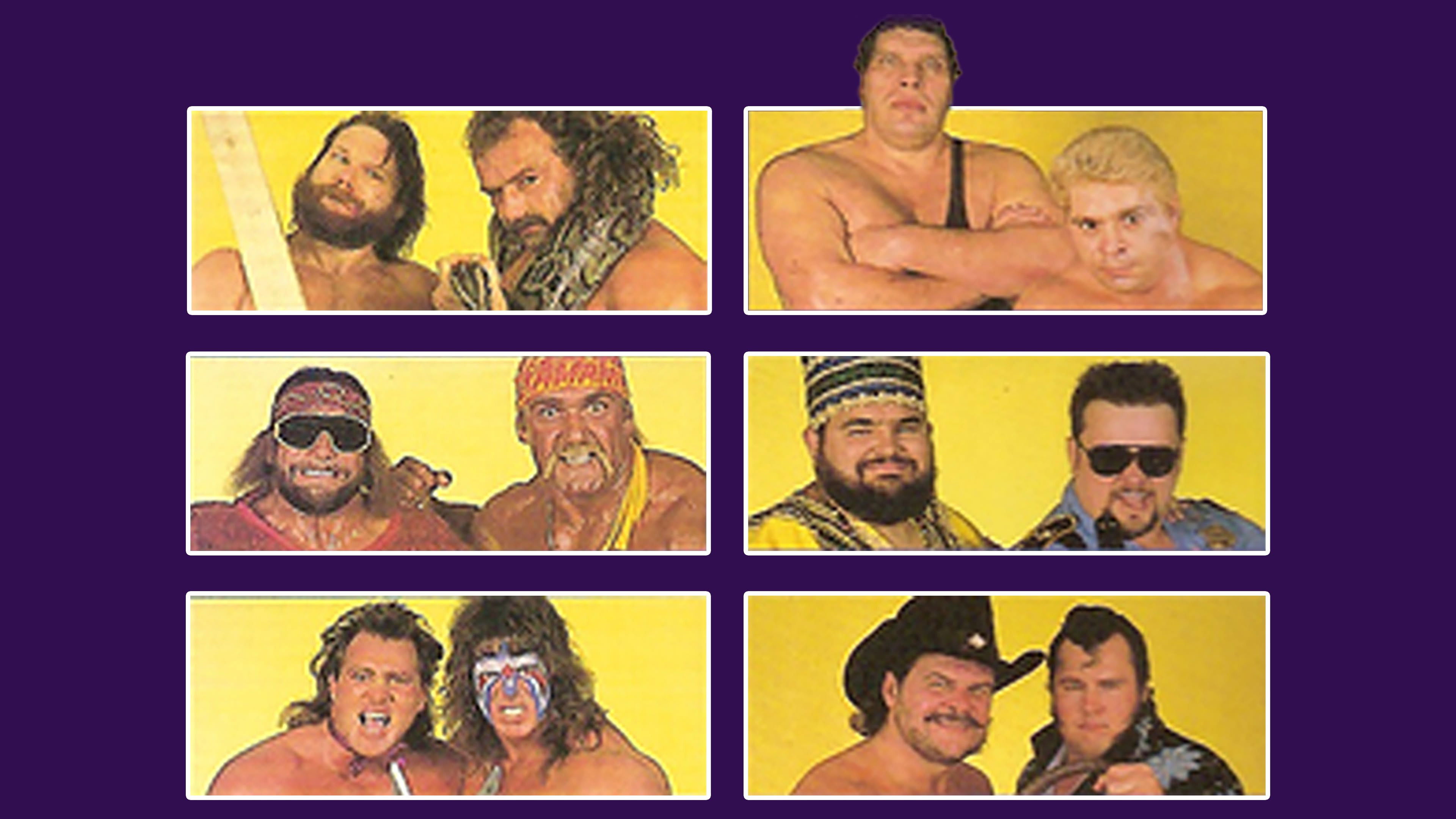 WWE Survivor Series 1988 Background
