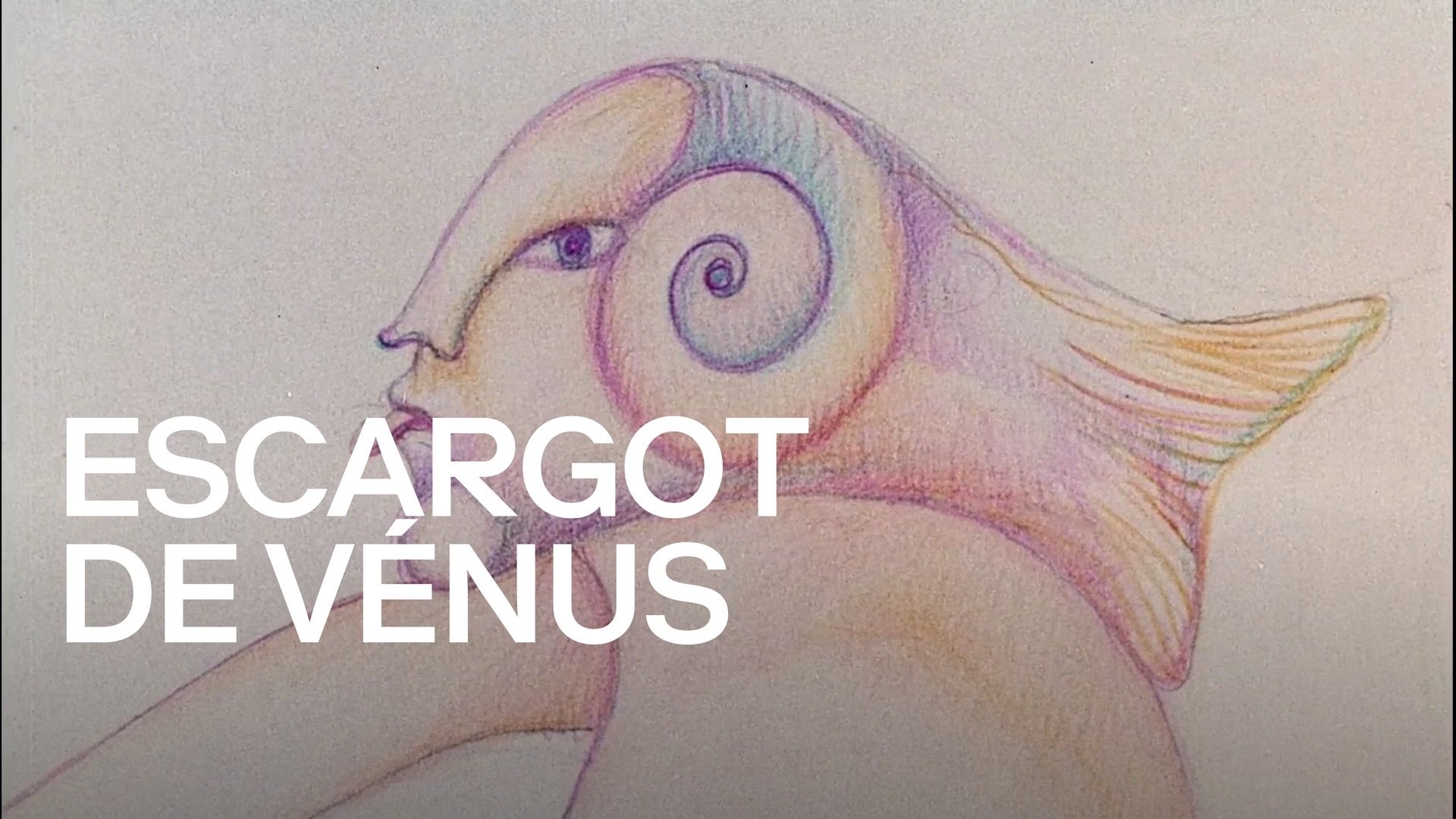 Venus on the Half-Shell Background