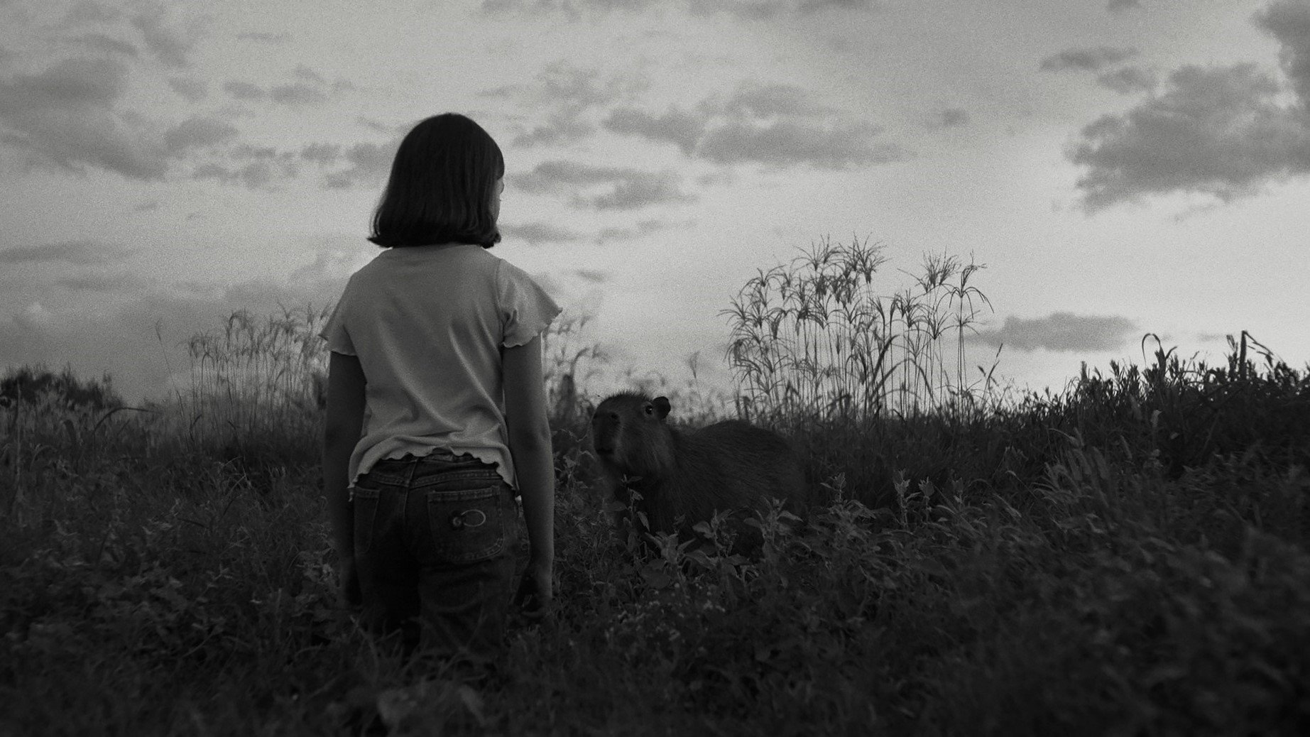 El mensaje Background