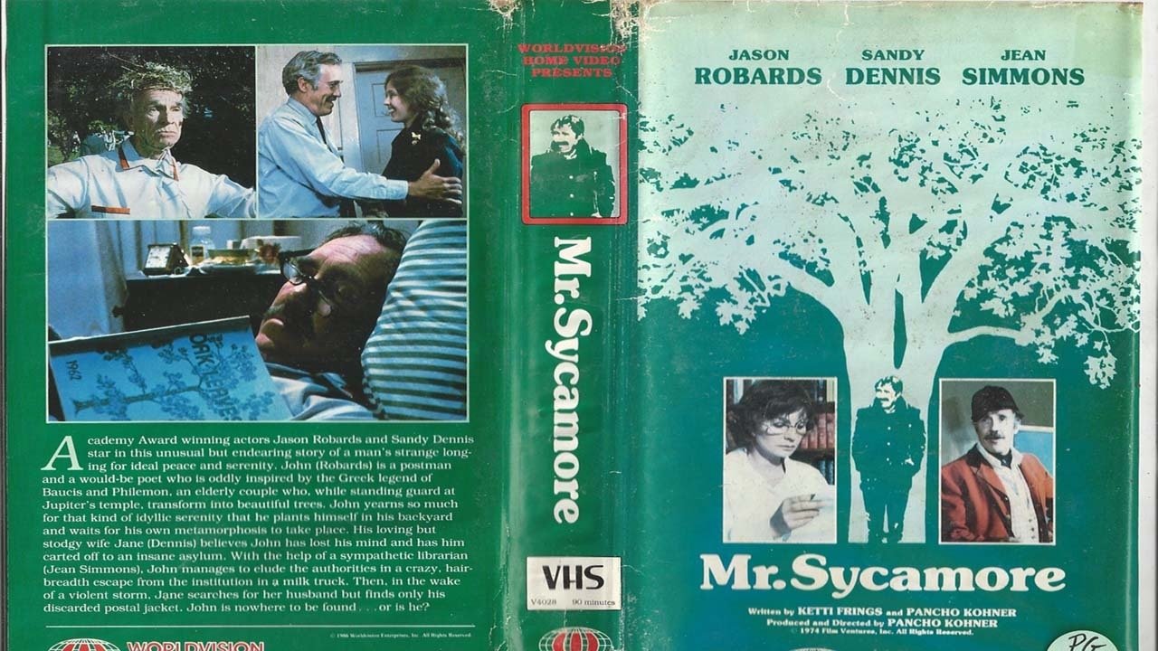 Mr. Sycamore Background